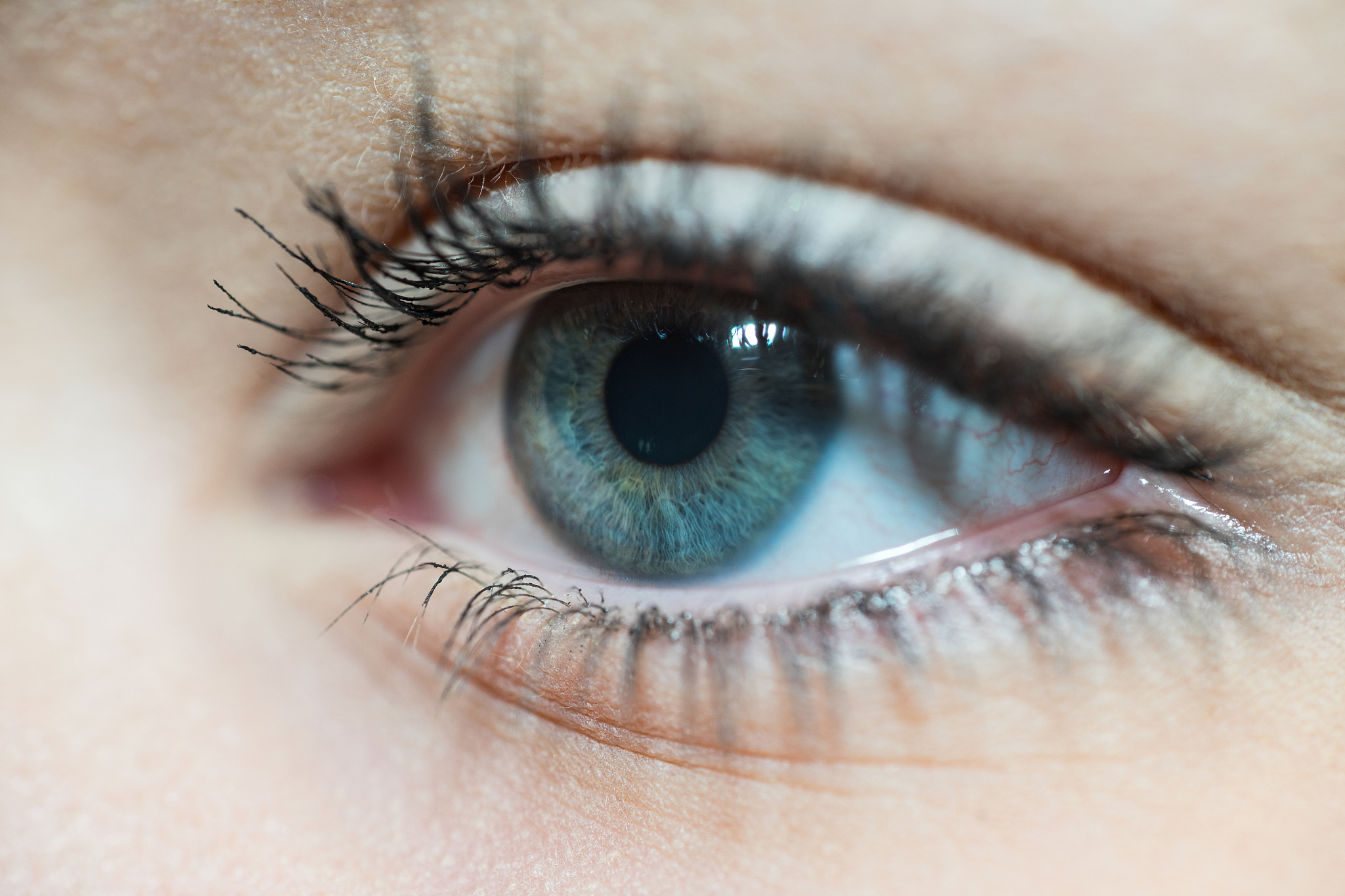 close-up of beautiful blue woman eye with long eyelashes looking