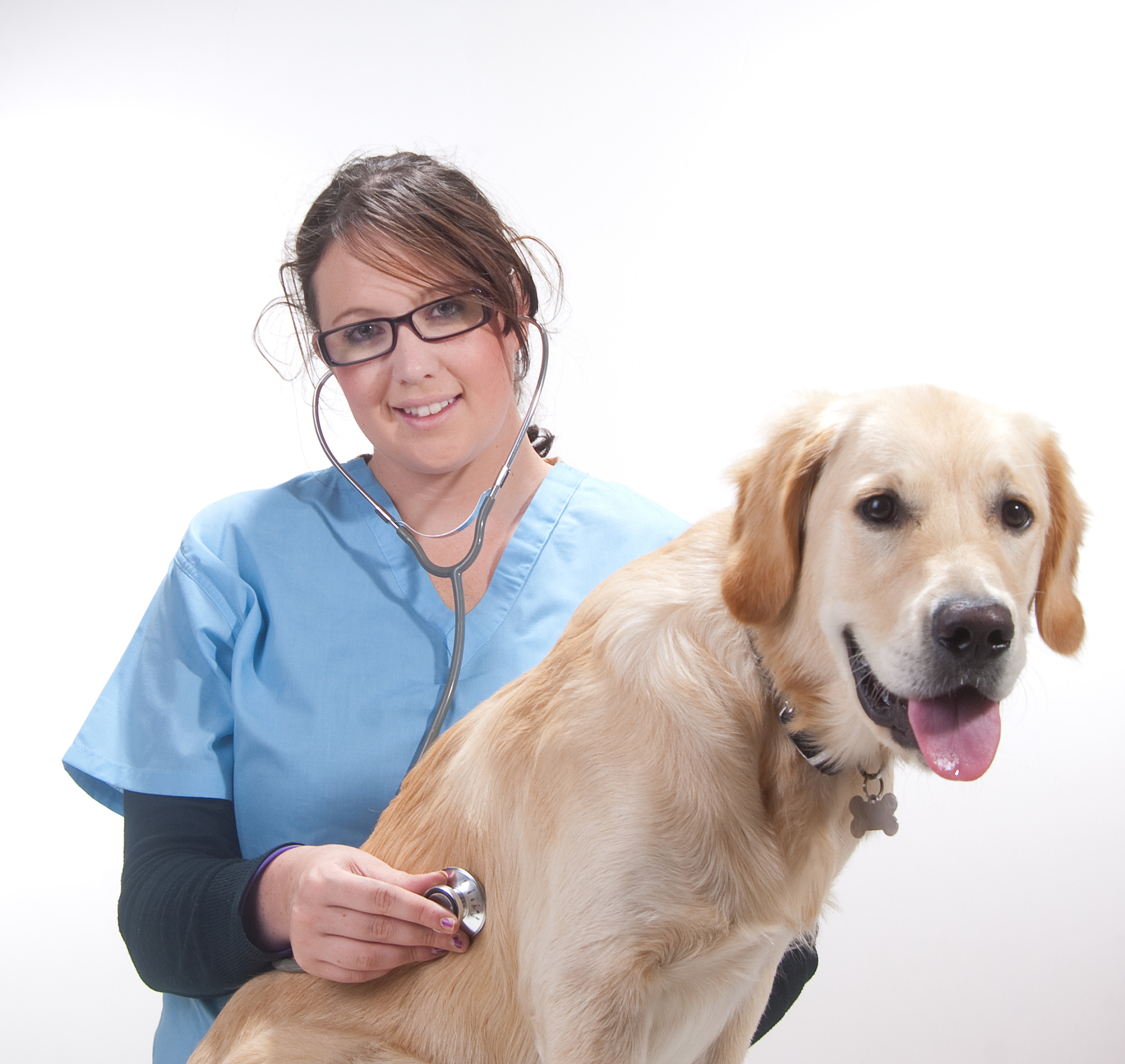 重庆市育才职业教育中心畜牧兽医专业就业前景分析