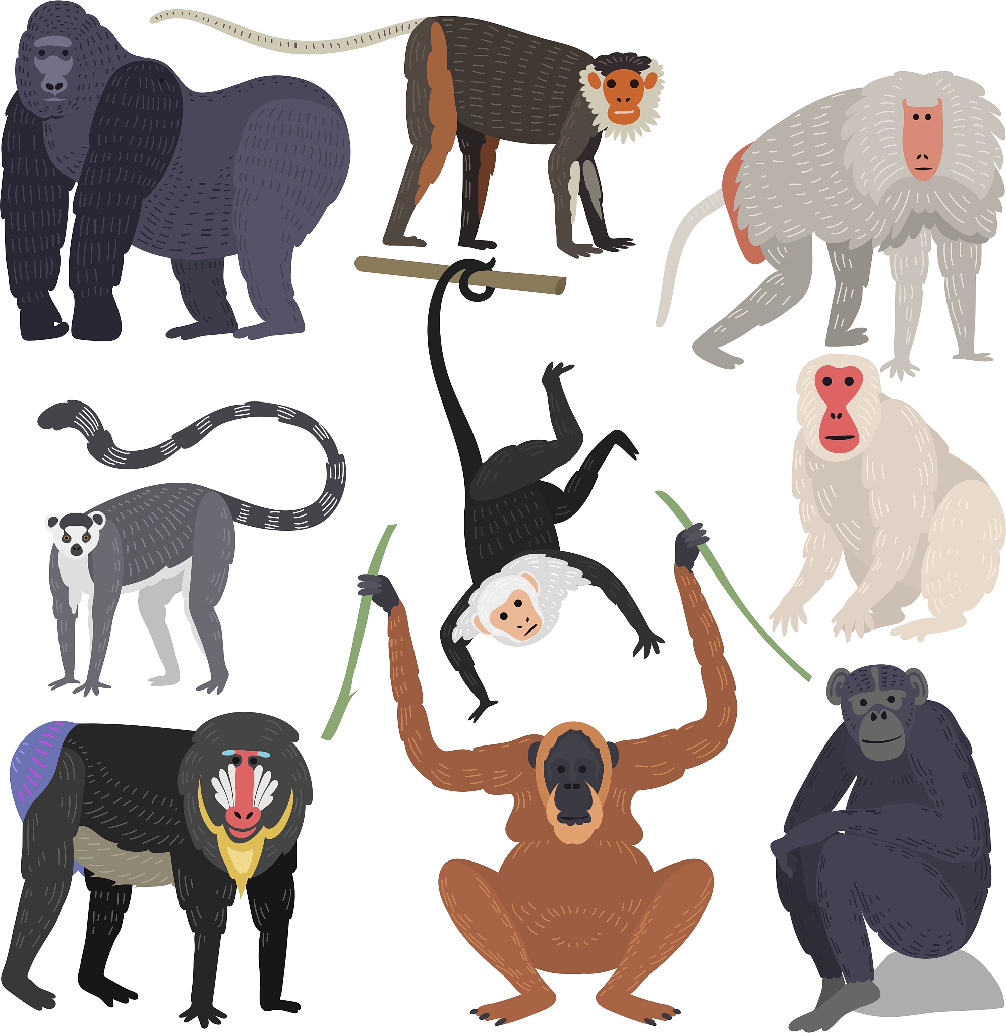 Do Animals Feel Emotions? Exploring the Complexity of Animal Consciousness