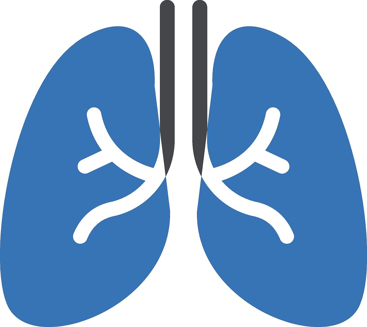 肺部感染护理指南：如何有效应对？