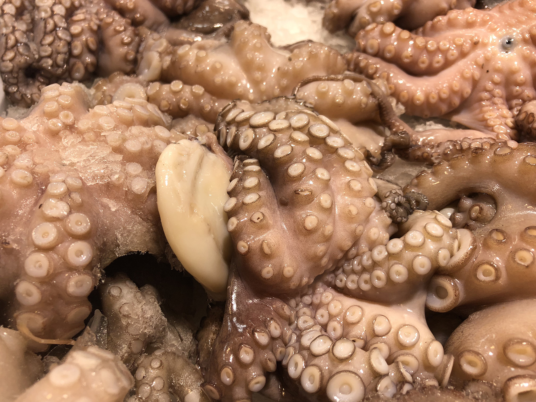 章鱼焯水不掉色技巧：简单步骤保持鲜艳口感