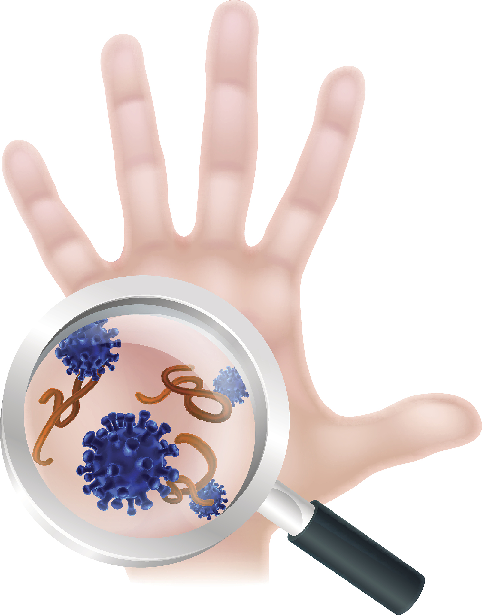 手部和手机触摸屏微生物菌群组成及数量比较研究