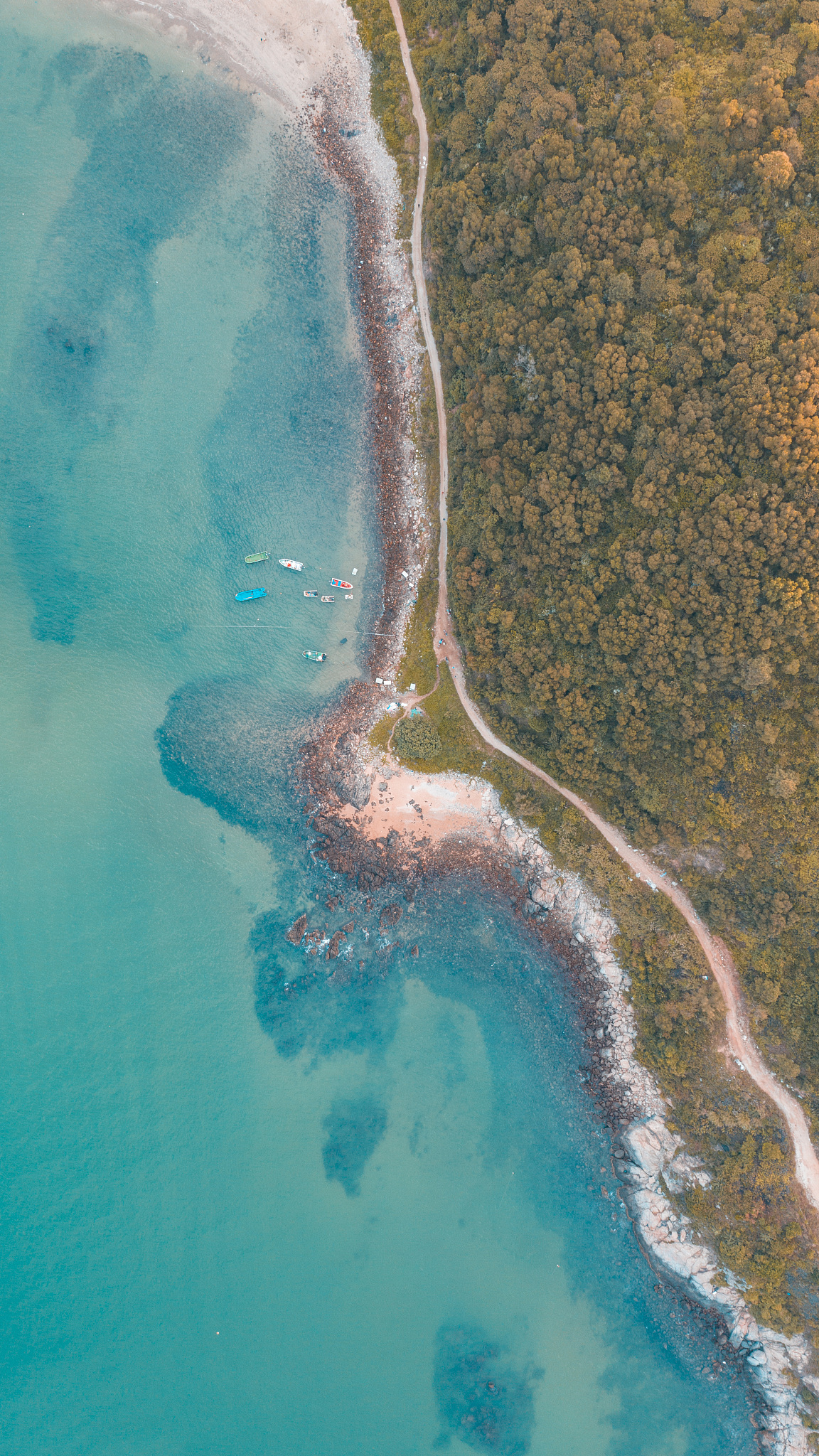 阳江第一职业高级中学专业设置怎么样？