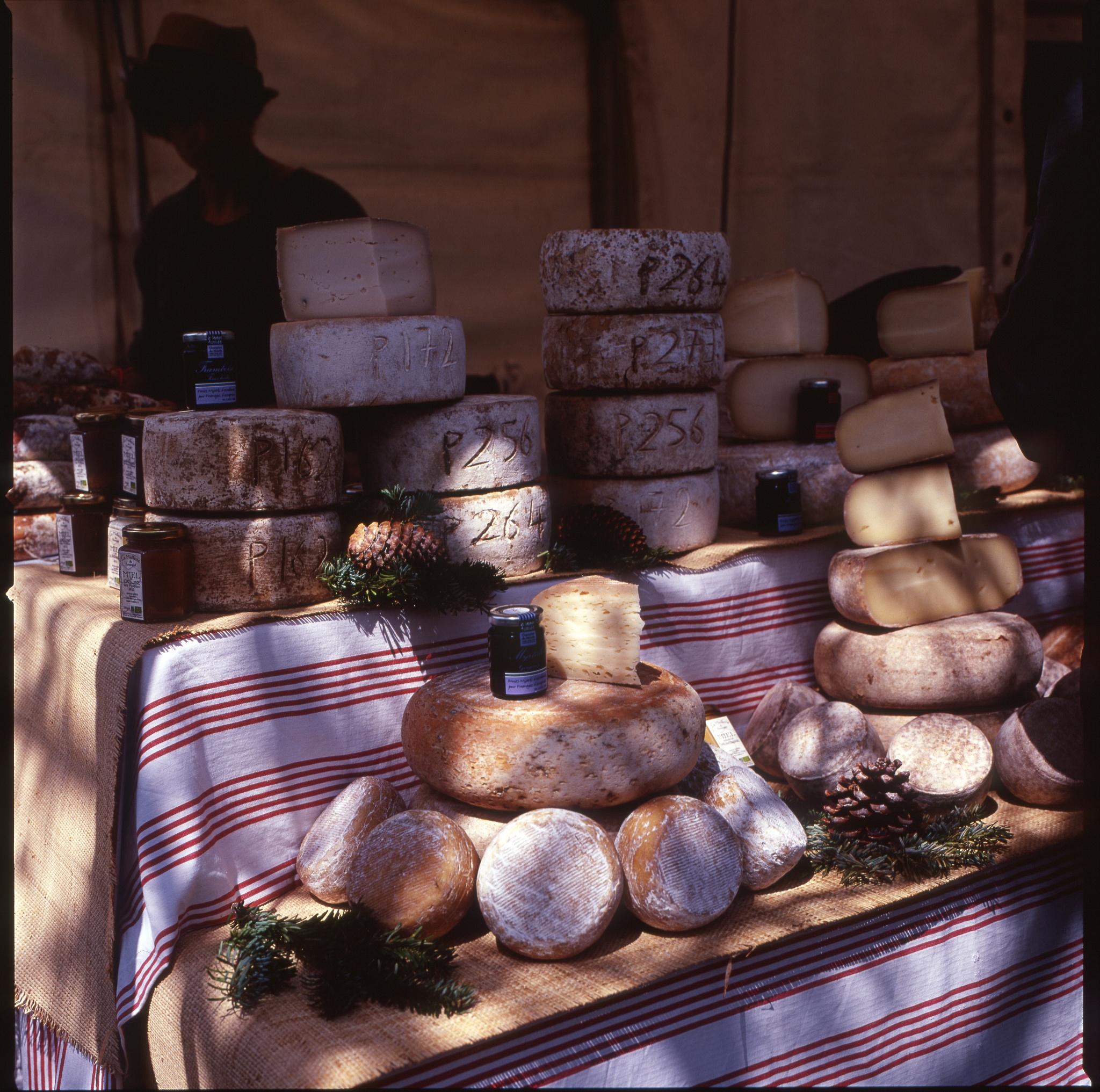 Mardi Gras Party Plate Design Ideas: A Vibrant Celebration
