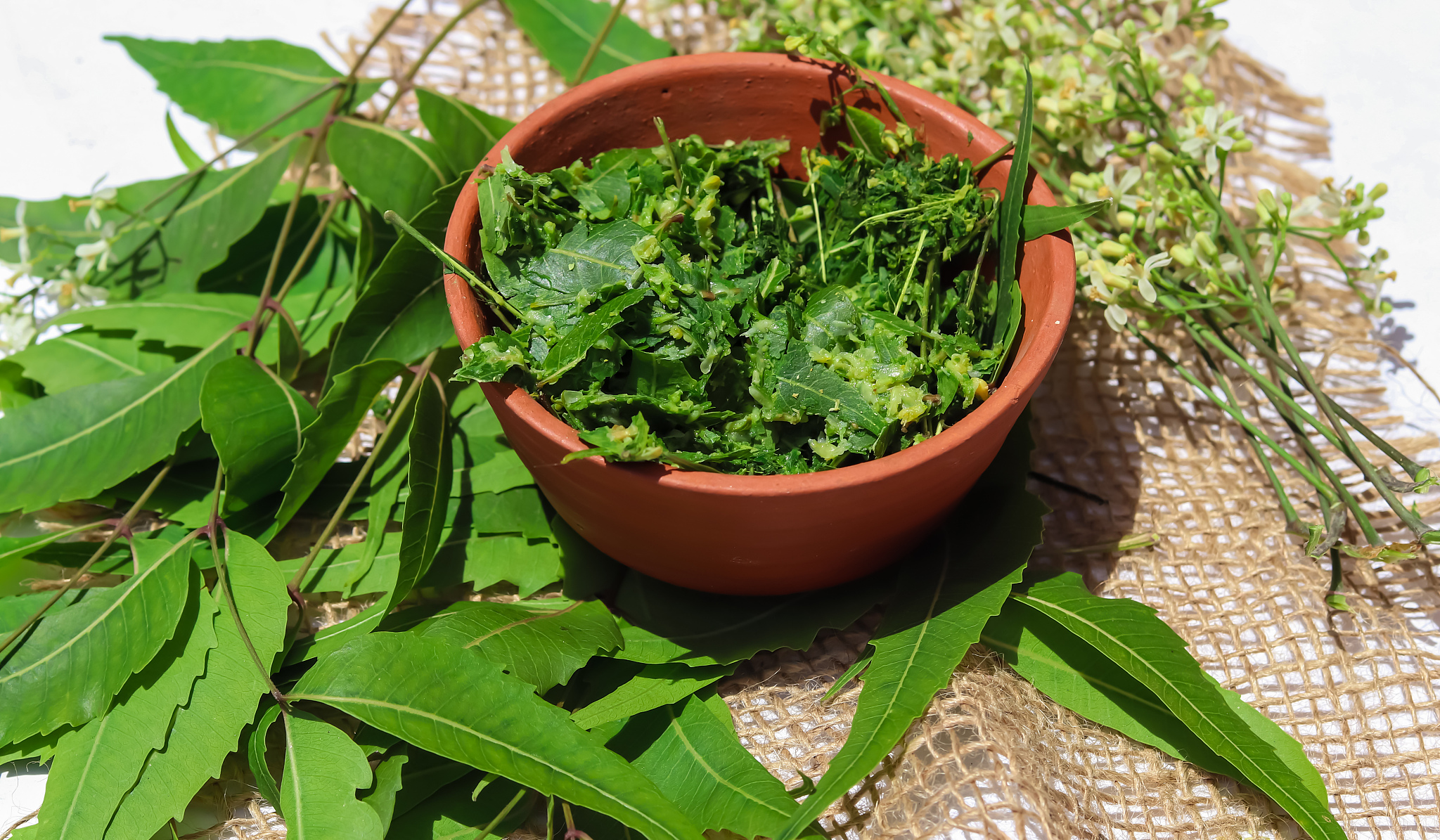 廉江卫生职业技术学校2022年招生简章 - 报考条件|专业设置|录取流程