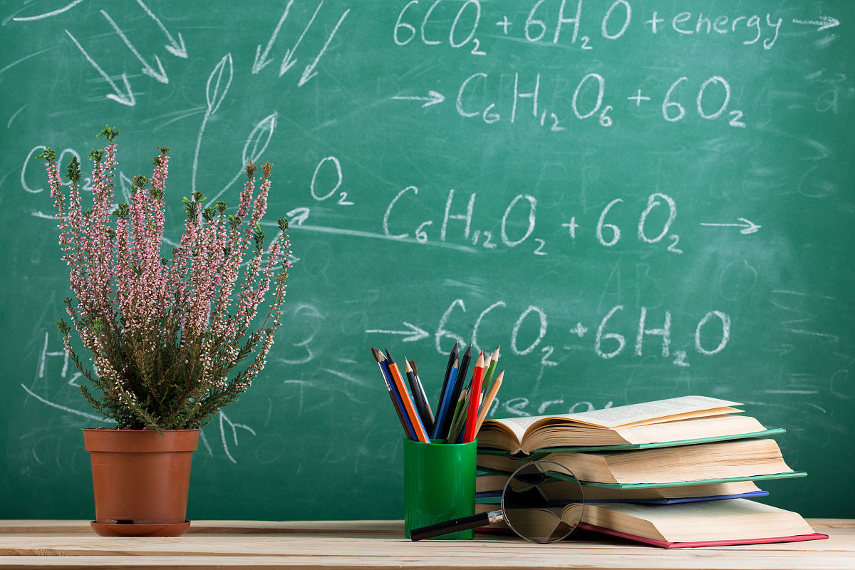 成都专业培养幼师的学校推荐：如何选择？