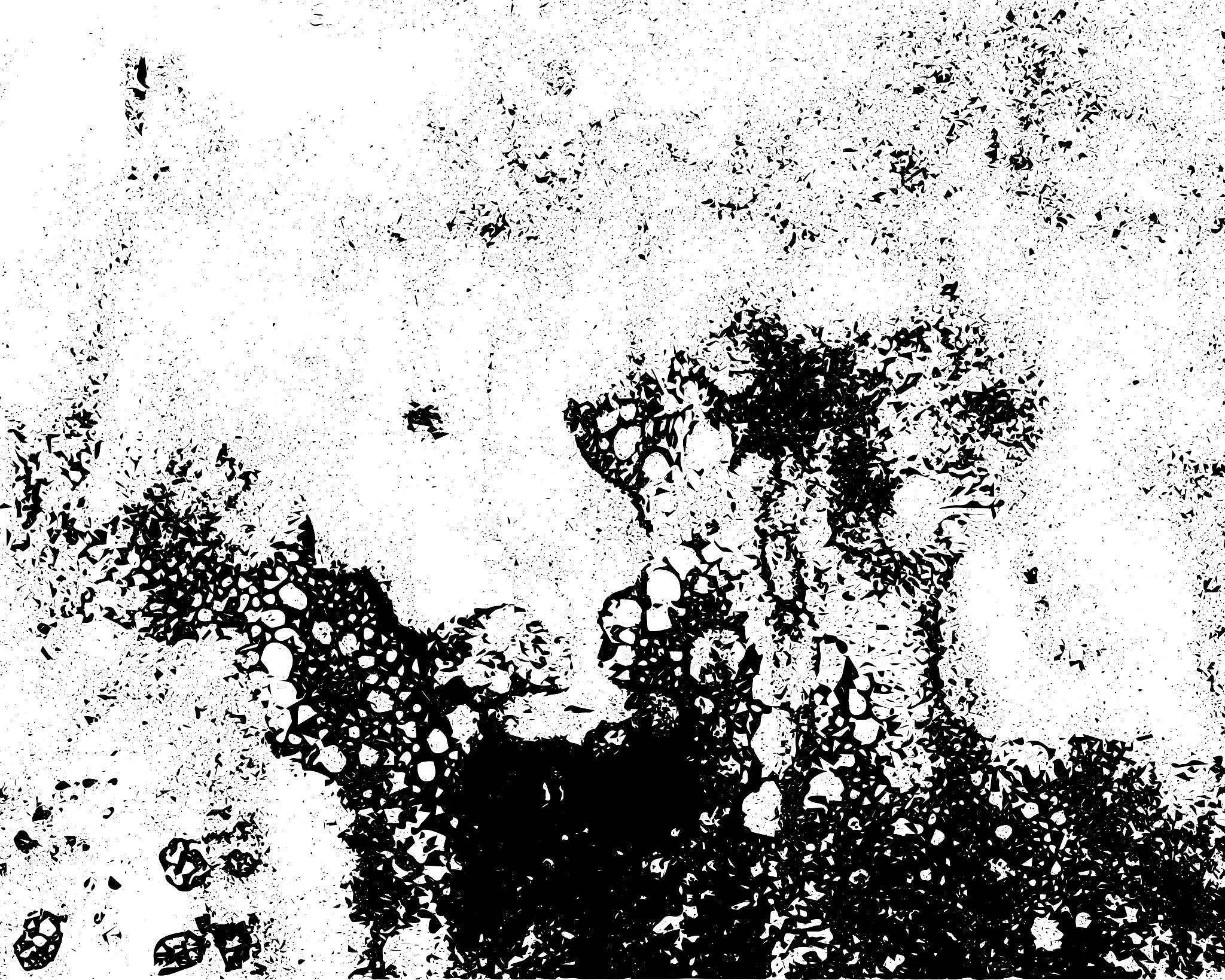 vector grunge texture