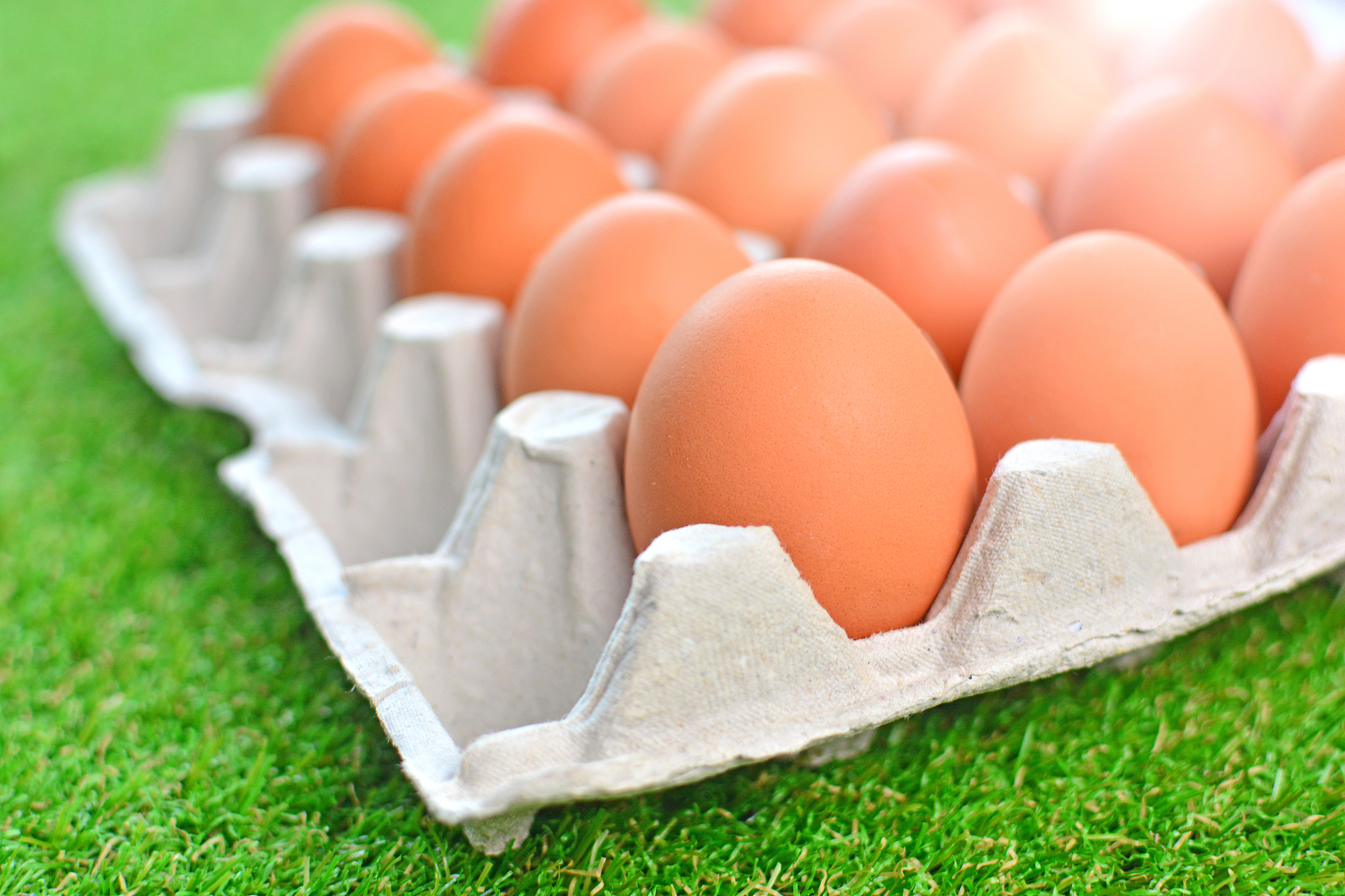 eggs close-up. big brown chicken eggs in a eggs box tray.