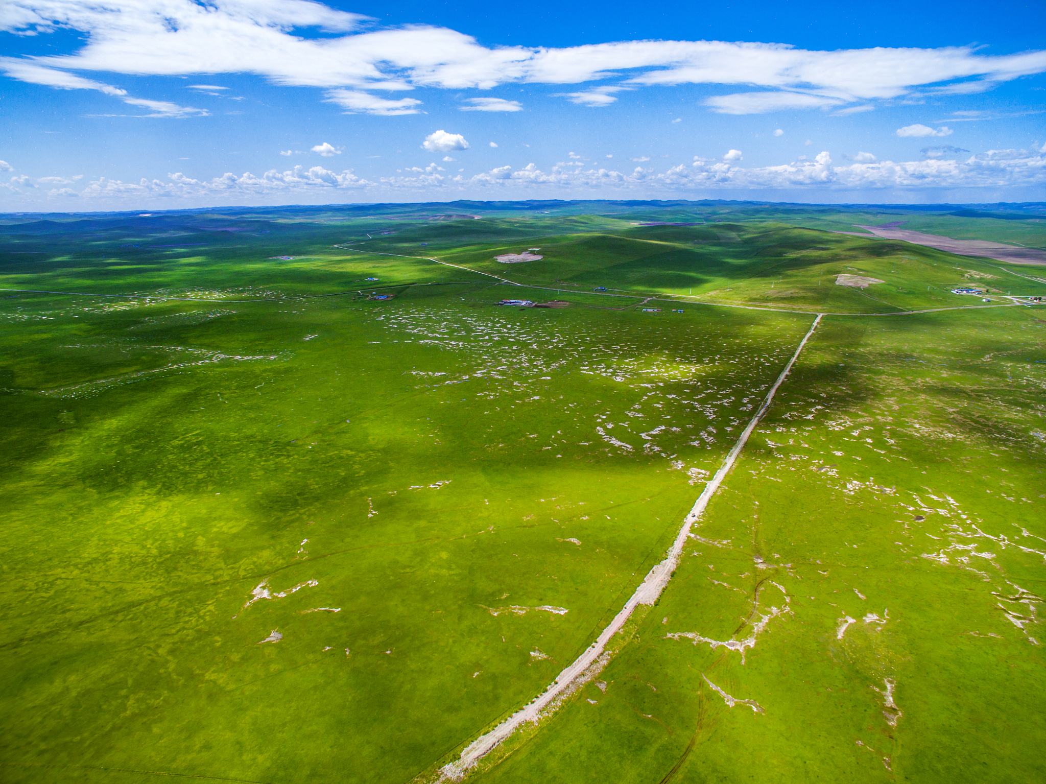 塞罕坝绿化奇迹：探秘人与自然和谐共生的绿色宝库