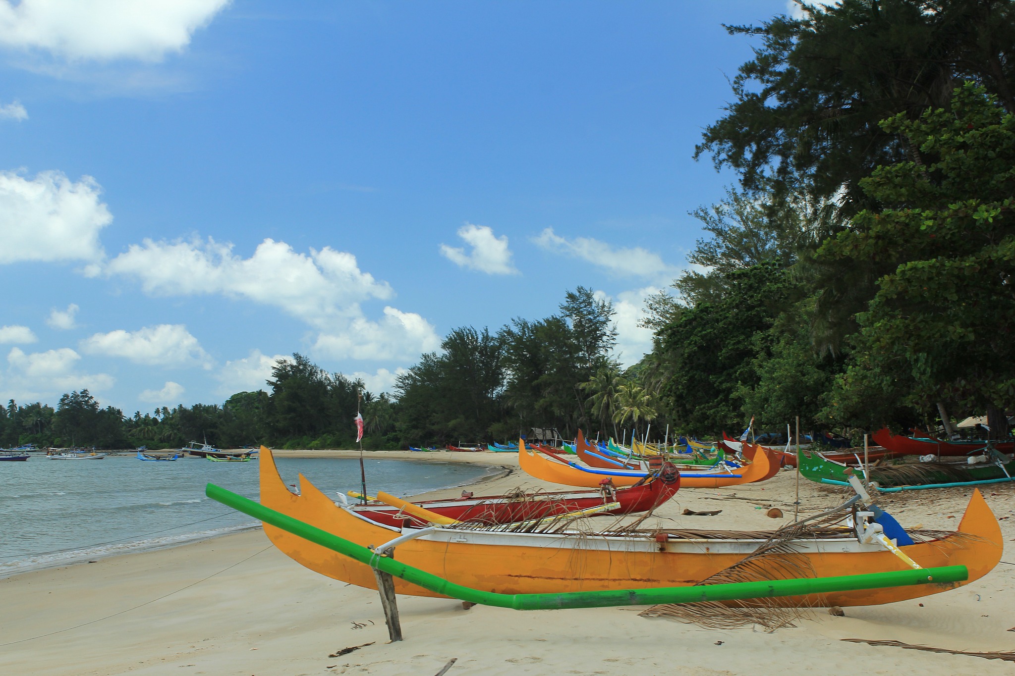 Mengapa Burung Bisa Terbang? | Penjelasan Lengkap & Faktor-Faktornya