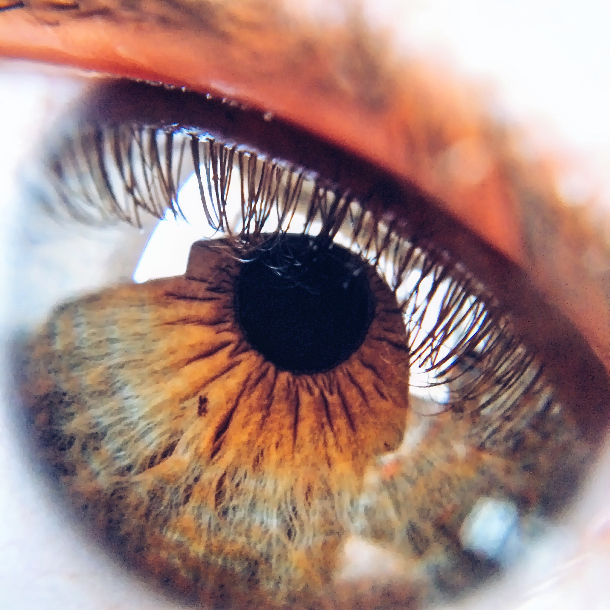 extreme close-up of human eye