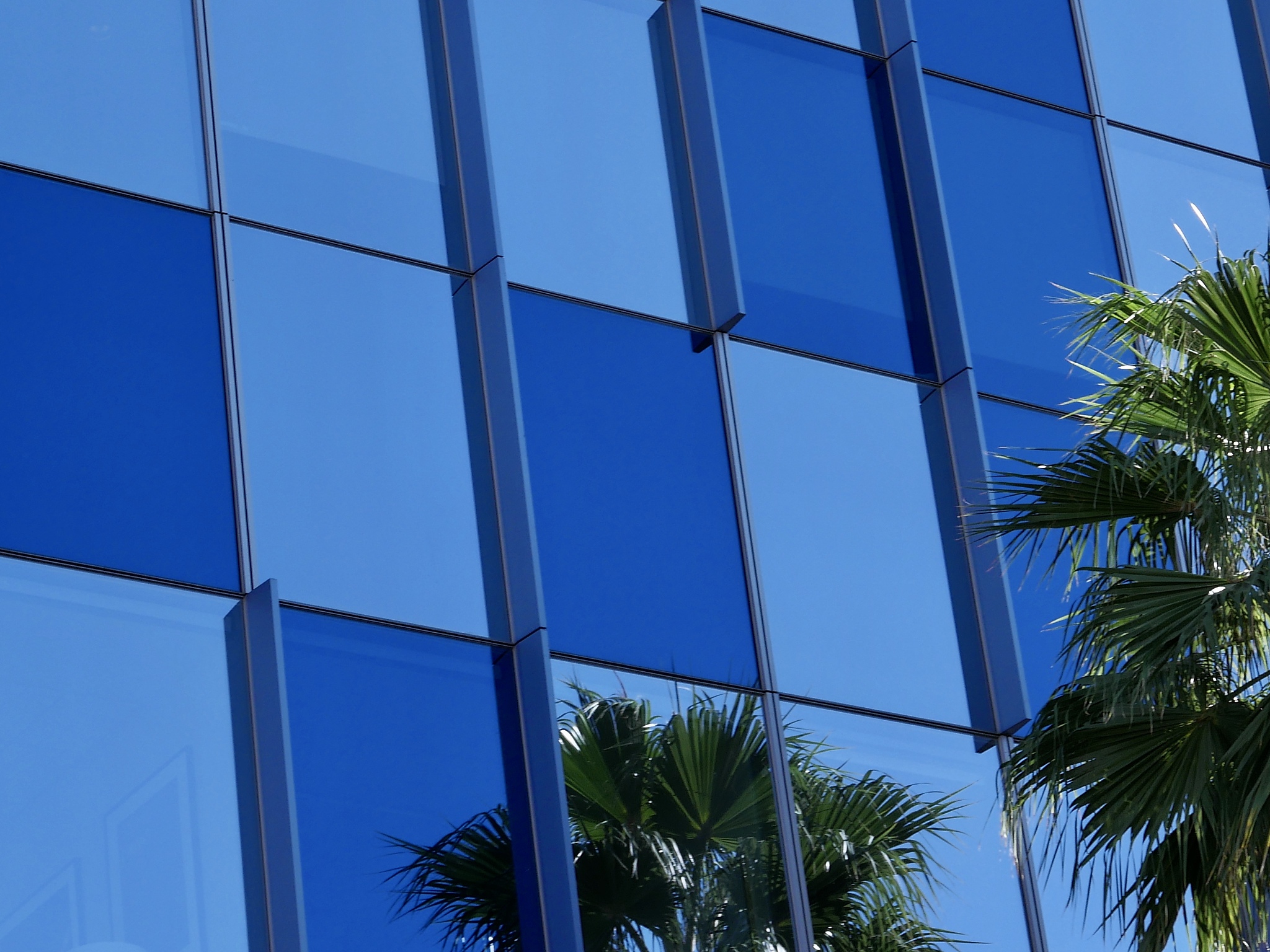 glass skyscraper