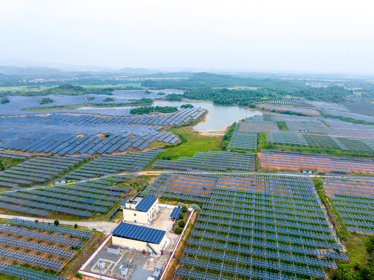 东阳农业试验示范基地发展前景分析：助力农业升级，促进农村经济繁荣