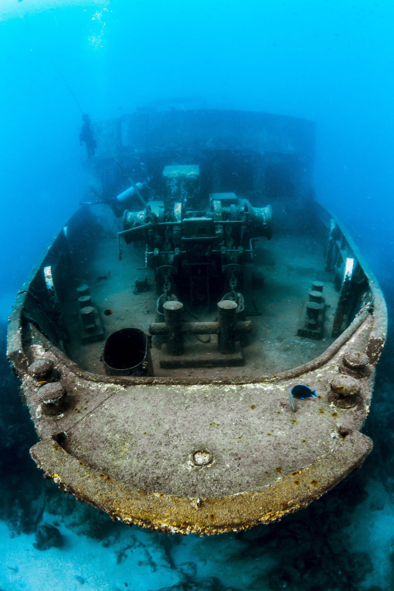 atlantic princes