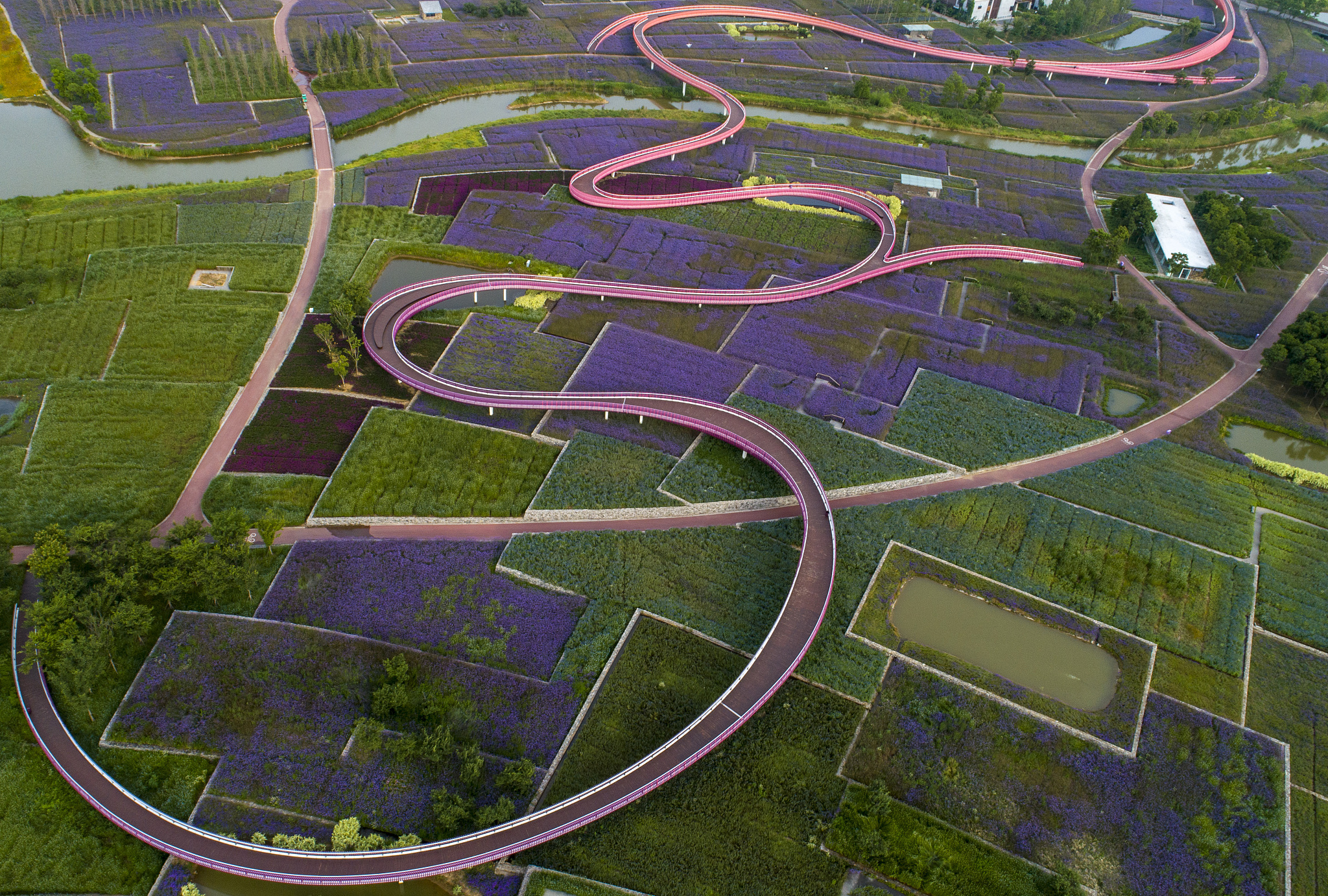 关于宿迁入川备案怎么办内容生动