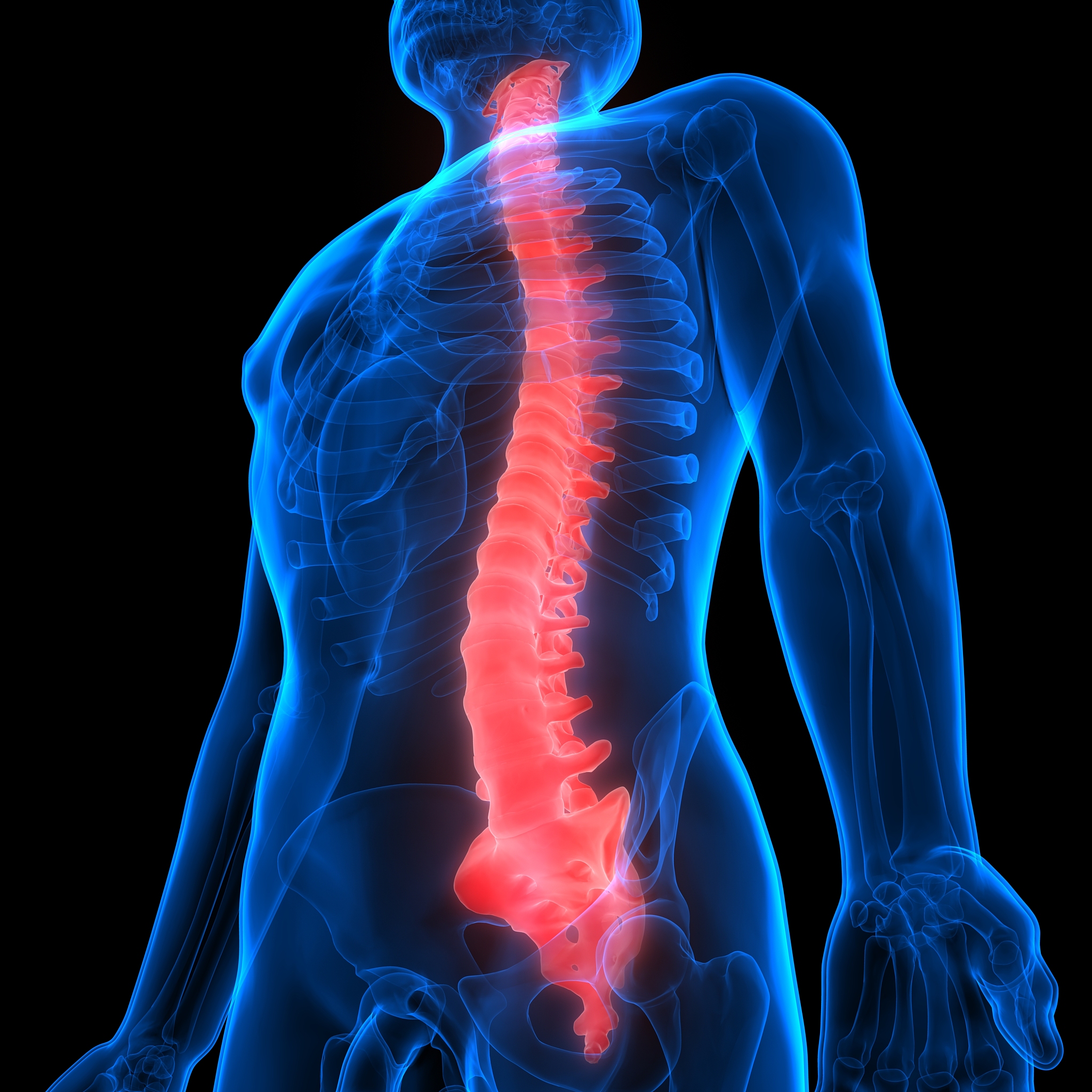 判断 人类通过劳动在改造自然但并没有改造人类本身。