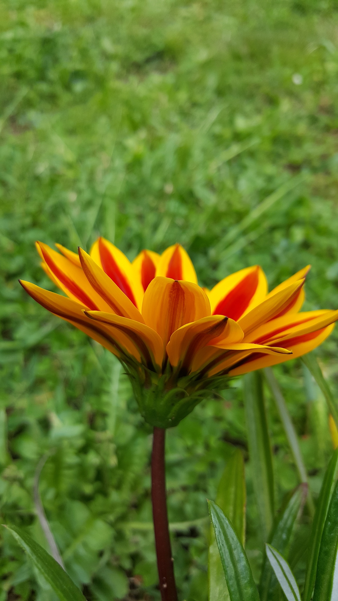 遵义重美职业技术学校园艺专业招生 | 2022年招生简章