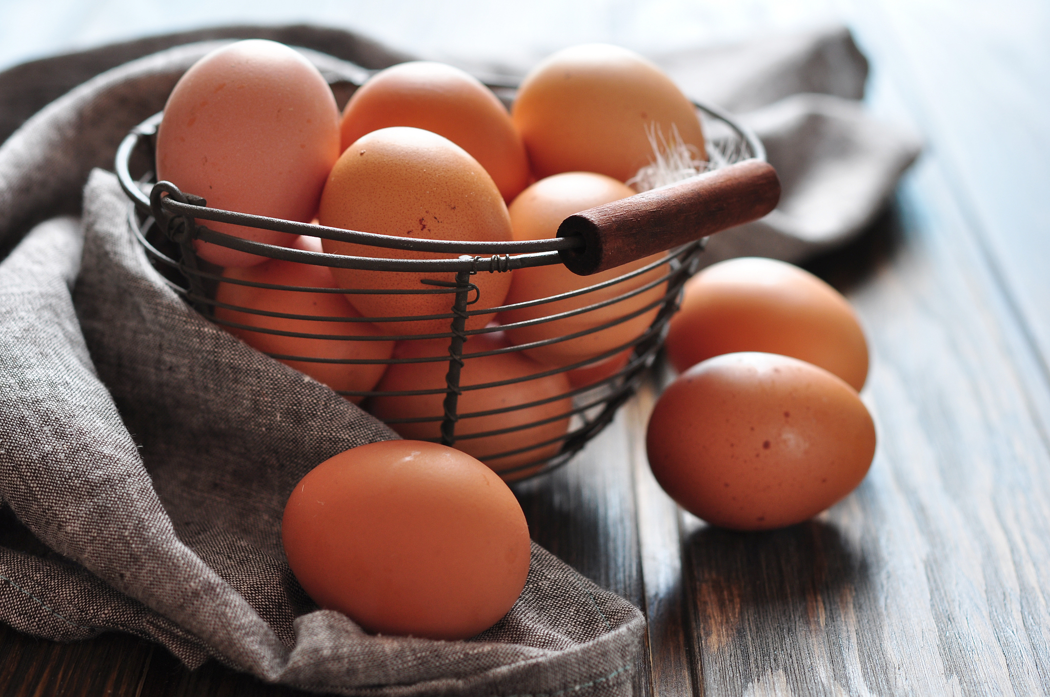 fresh eggs