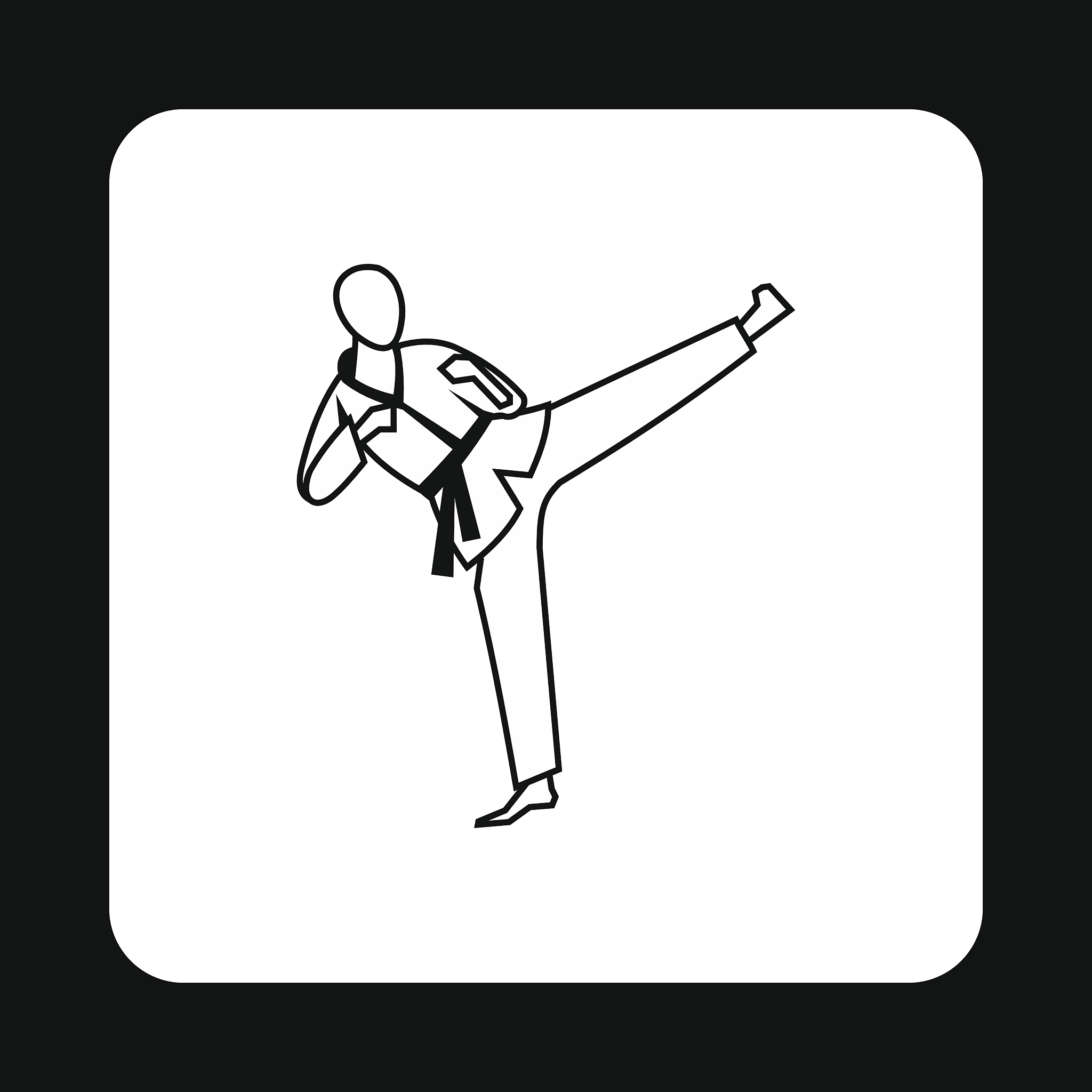 aikido fighter icon simple style