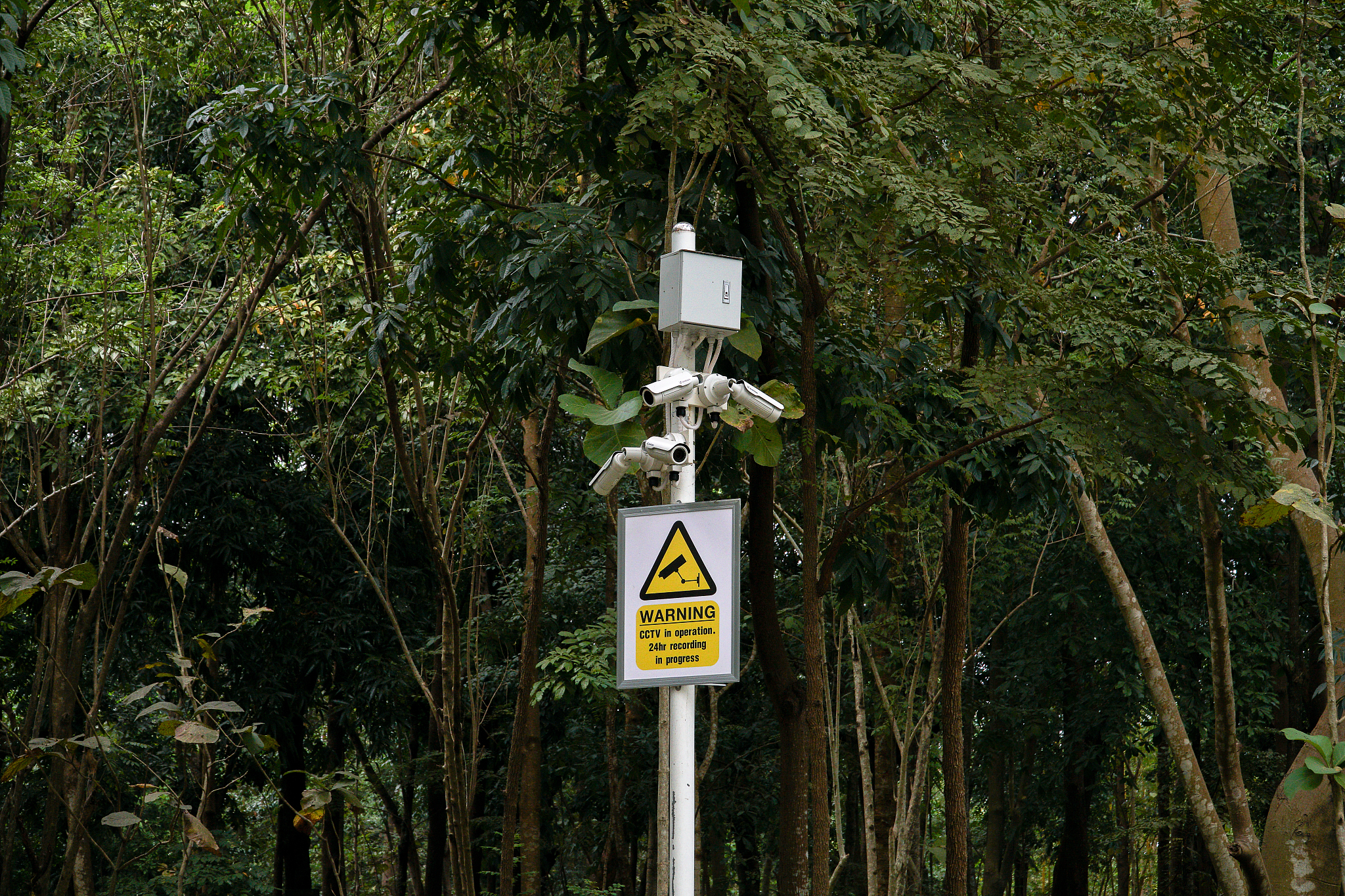 在某丛林地带你发现平常使用正常的通信终端突然通不了可能是哪些原因导致这种情况的发生？