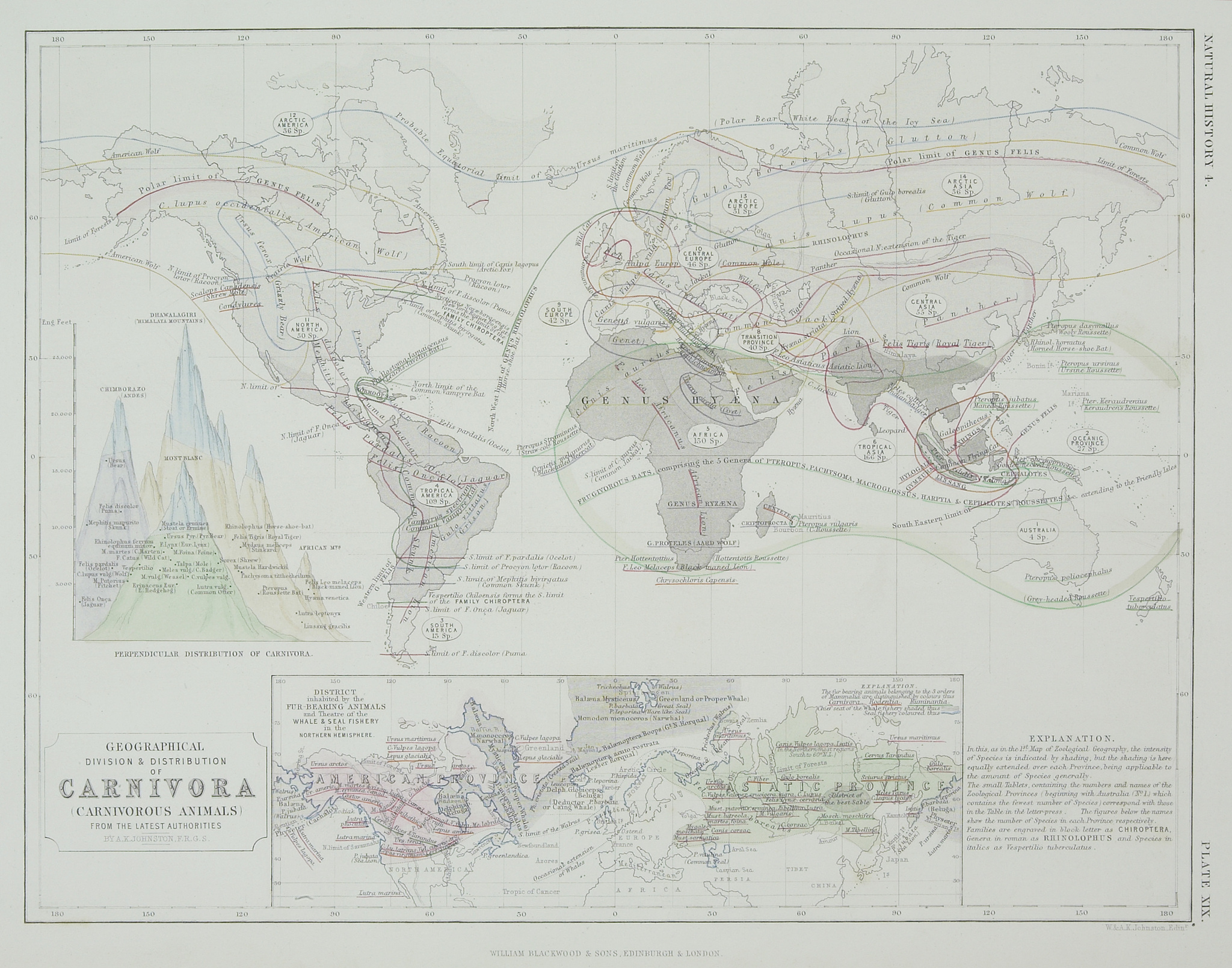 Gondwana Research 期刊 - 地球科学研究范围