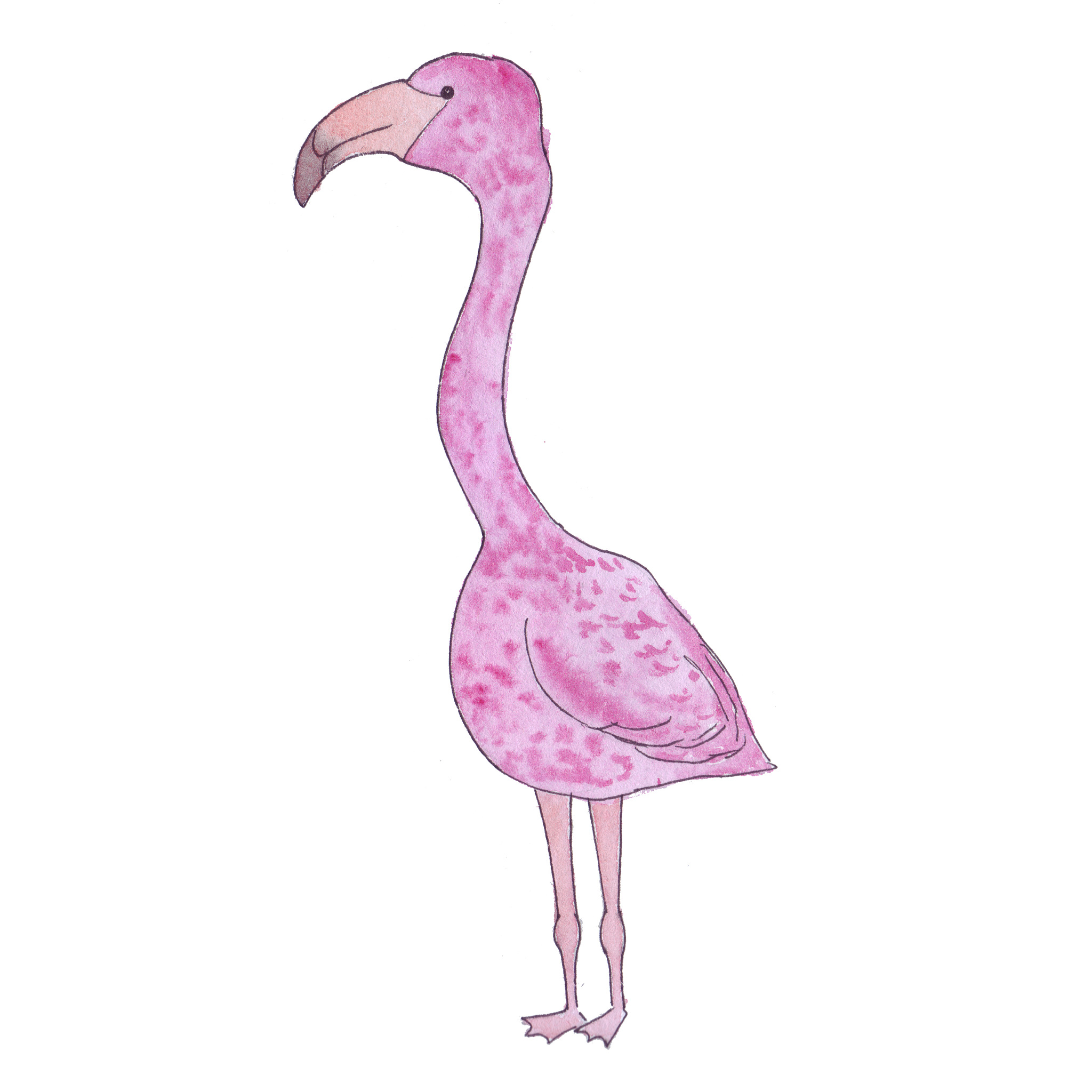 爱丽丝梦游仙境：经典童话，奇幻冒险之旅