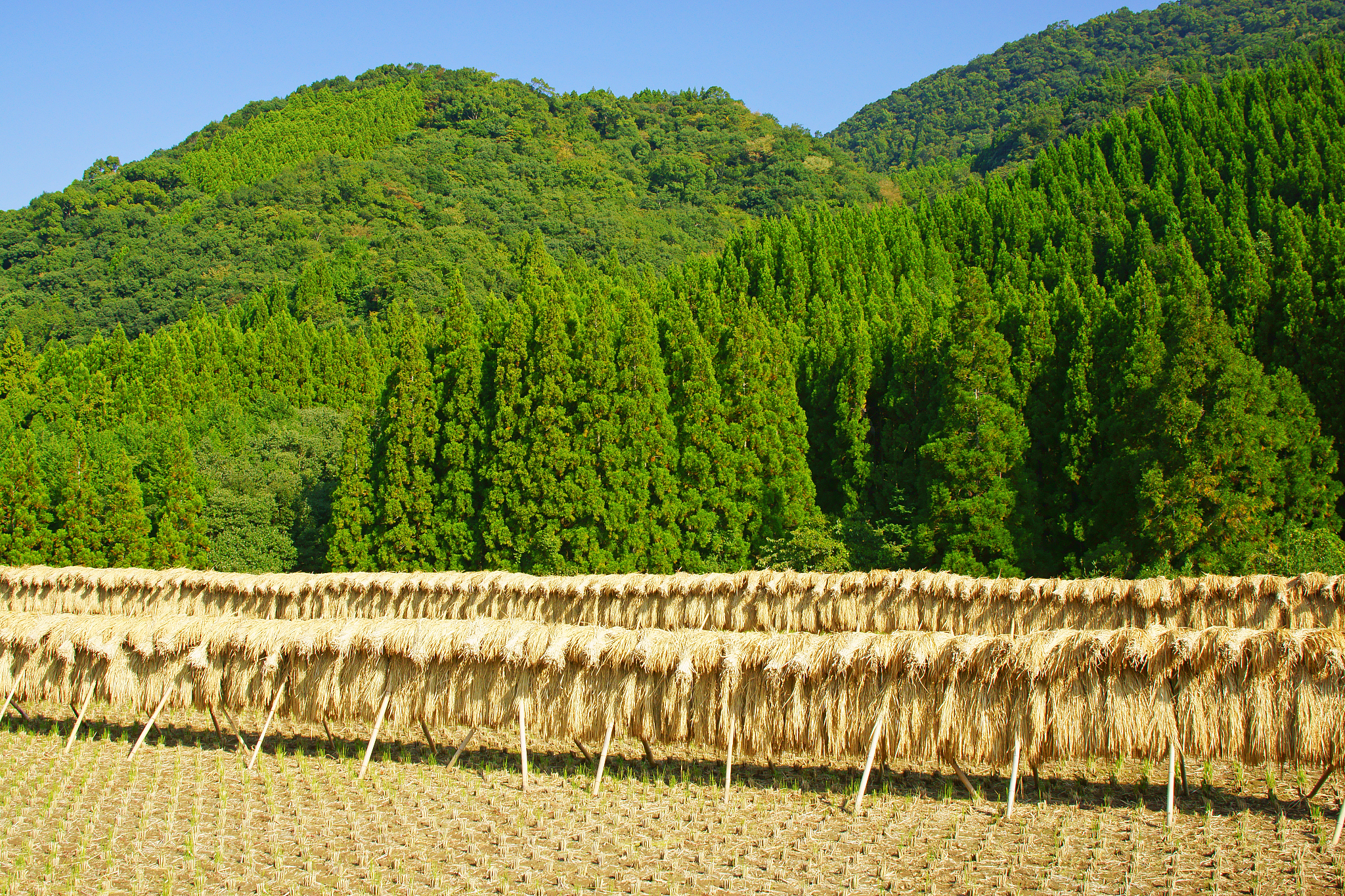 广西钦州农业学校的院校办学层次是什么