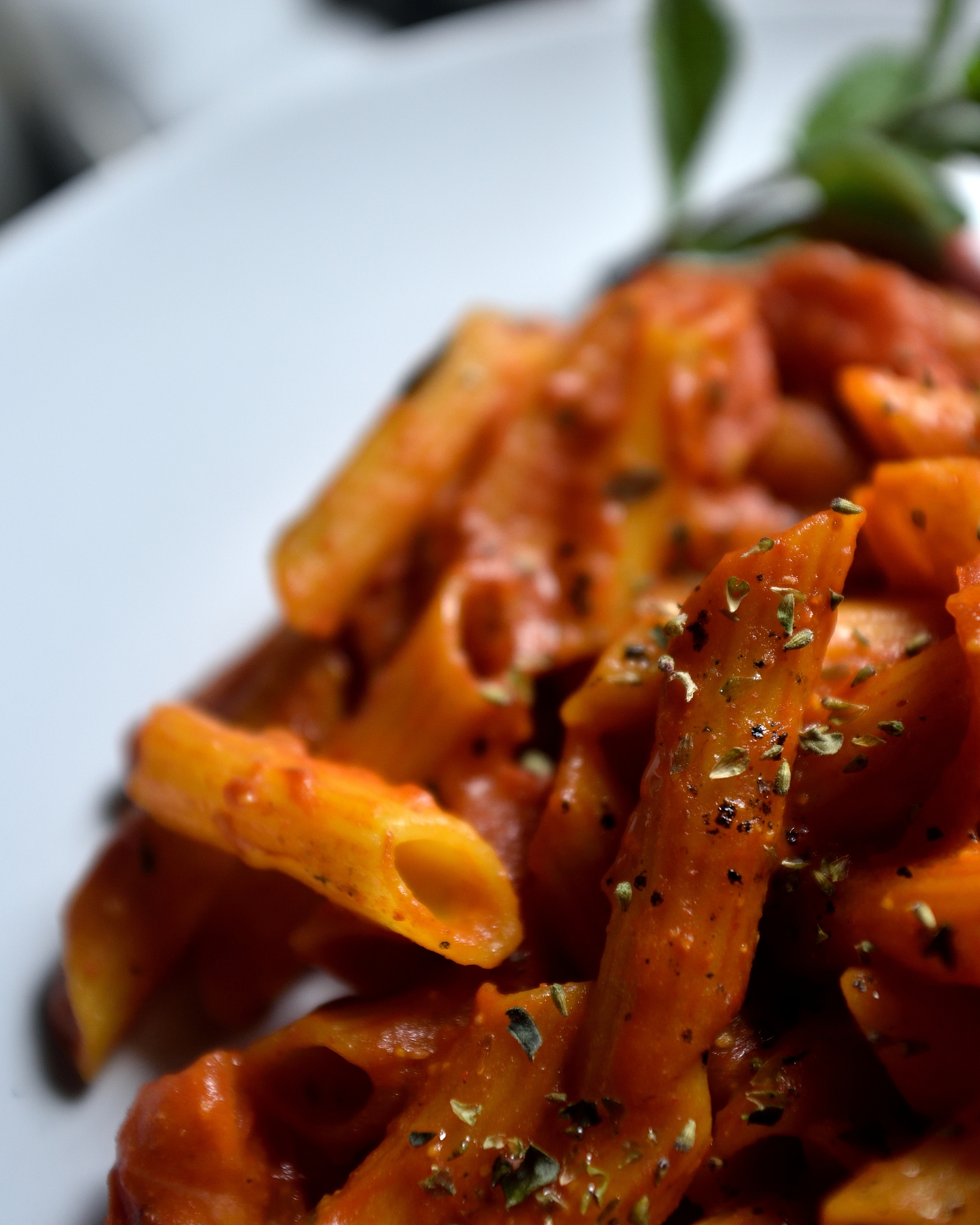 macro of penne with tomato sauce