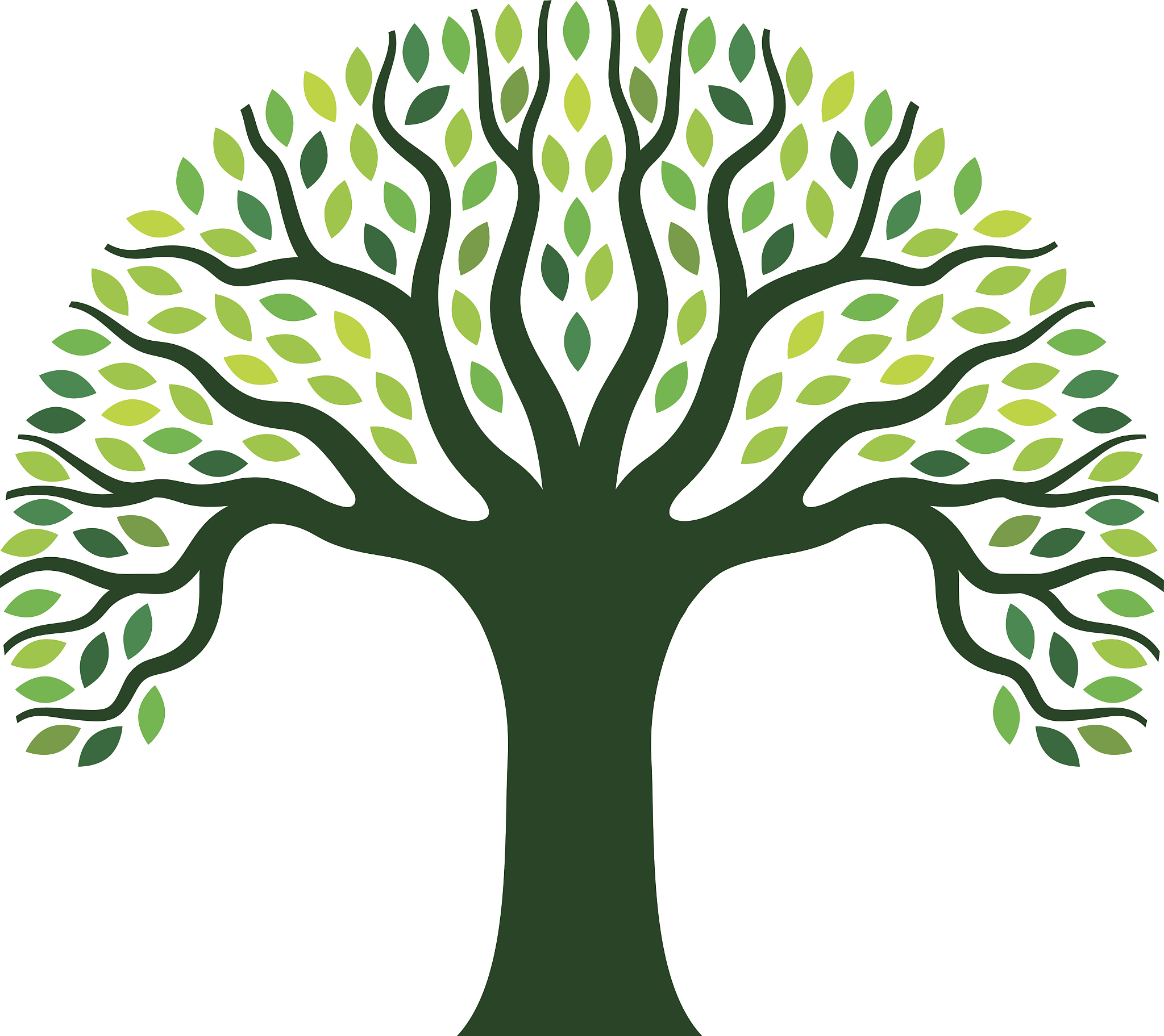 simple graphic tree illustration