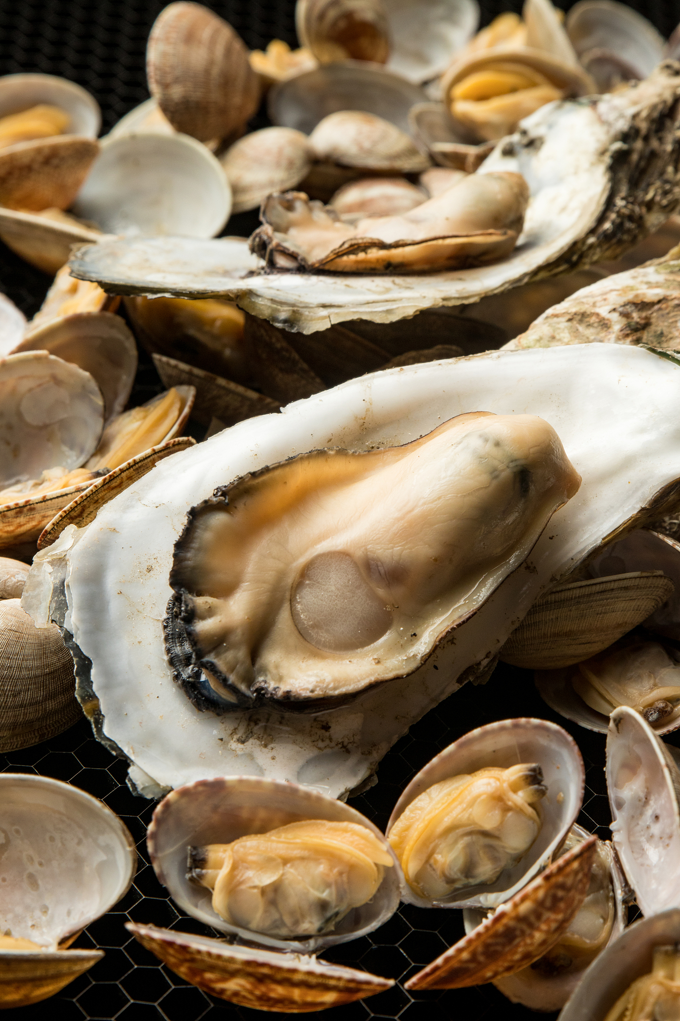 山西轻工职业技术学院食品营养与检测专业涉及哪些课程