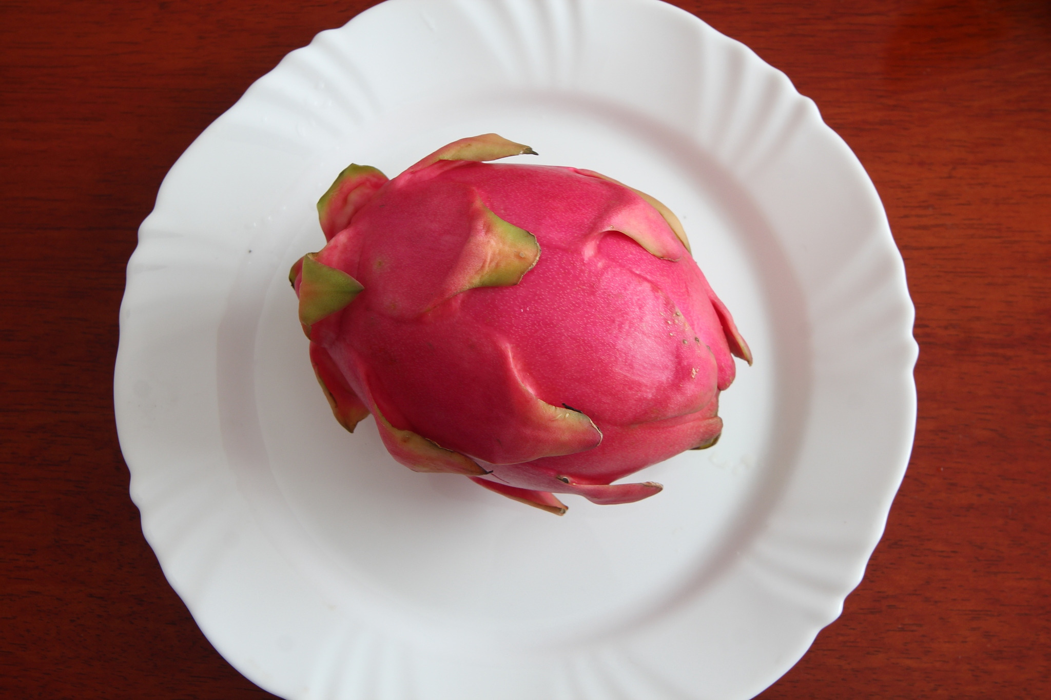 甘肃有什么中专中职学校的食品生物工艺专业好