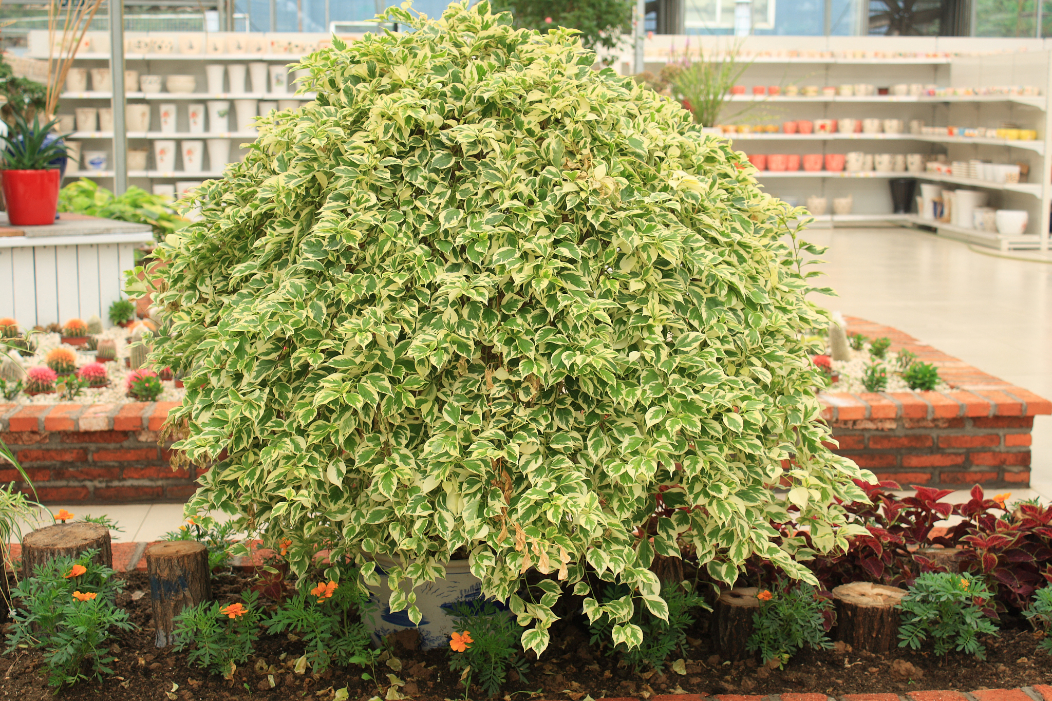 黑龙江农业经济职业学院园艺技术专业涉及哪些课程