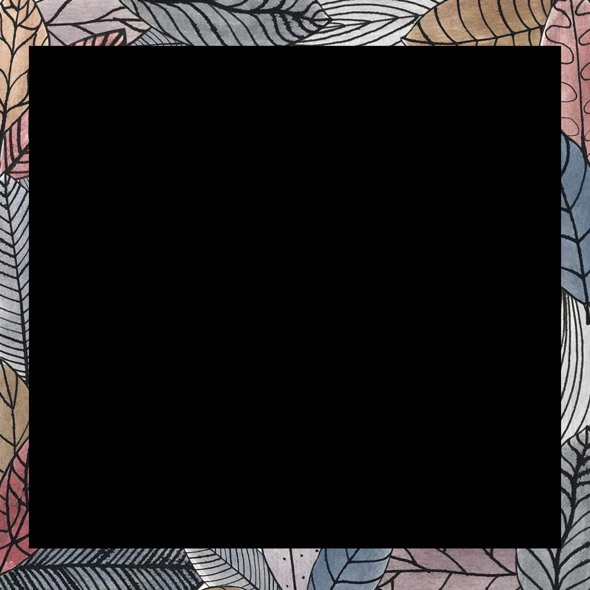 直播间画面边框素材图