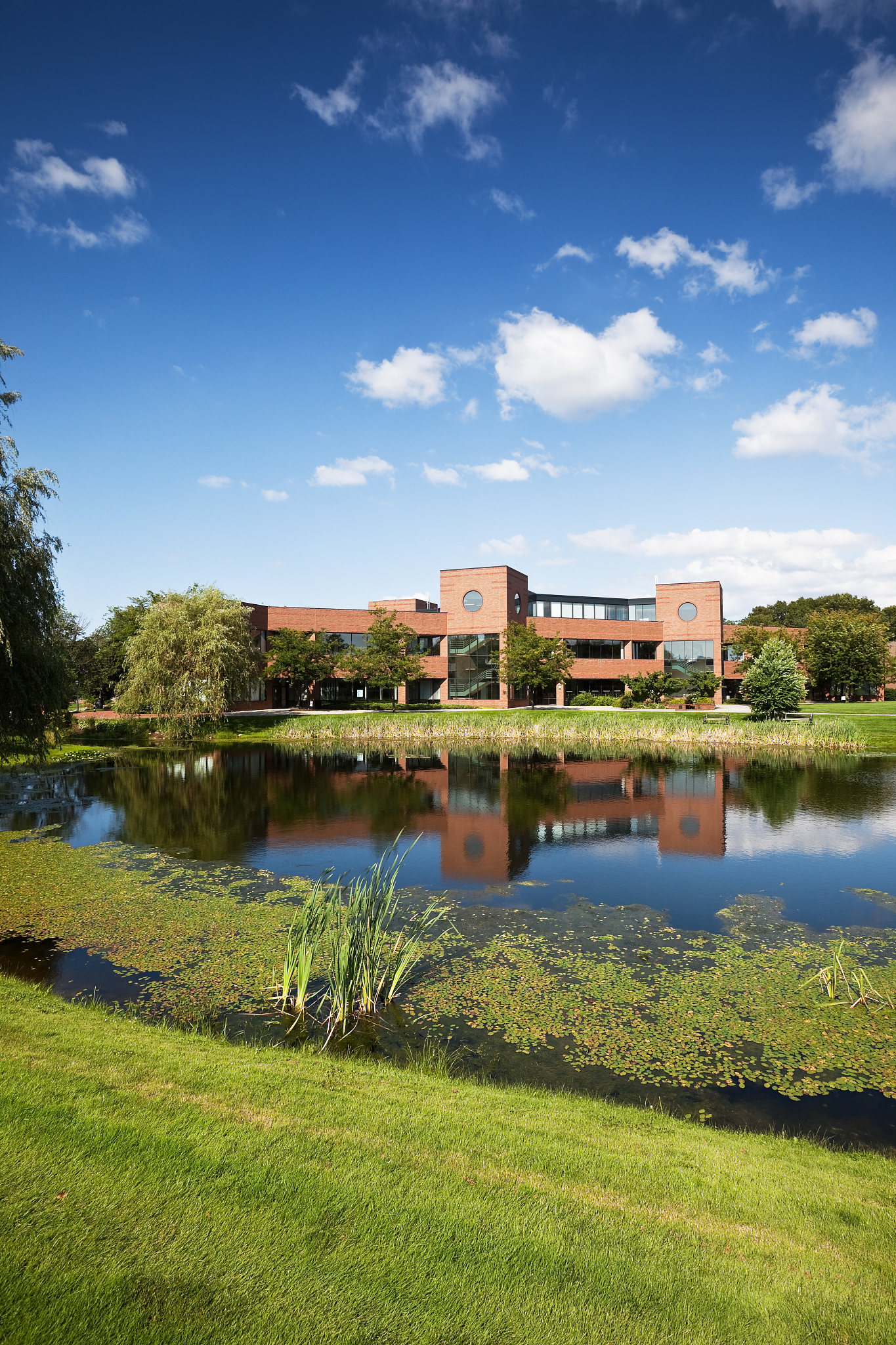 bryant university building and pond