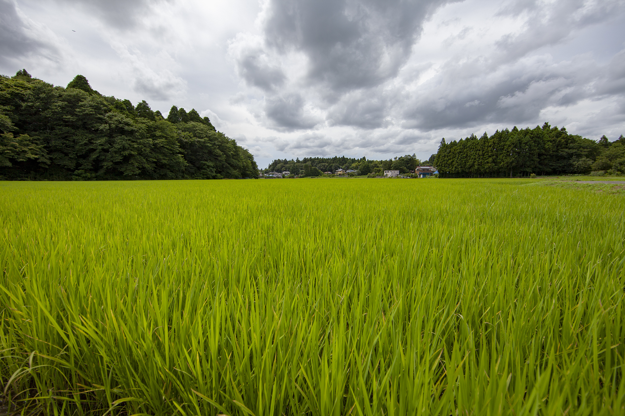 黑龙江农业职业技术学院会计专业专业就业方向有哪些