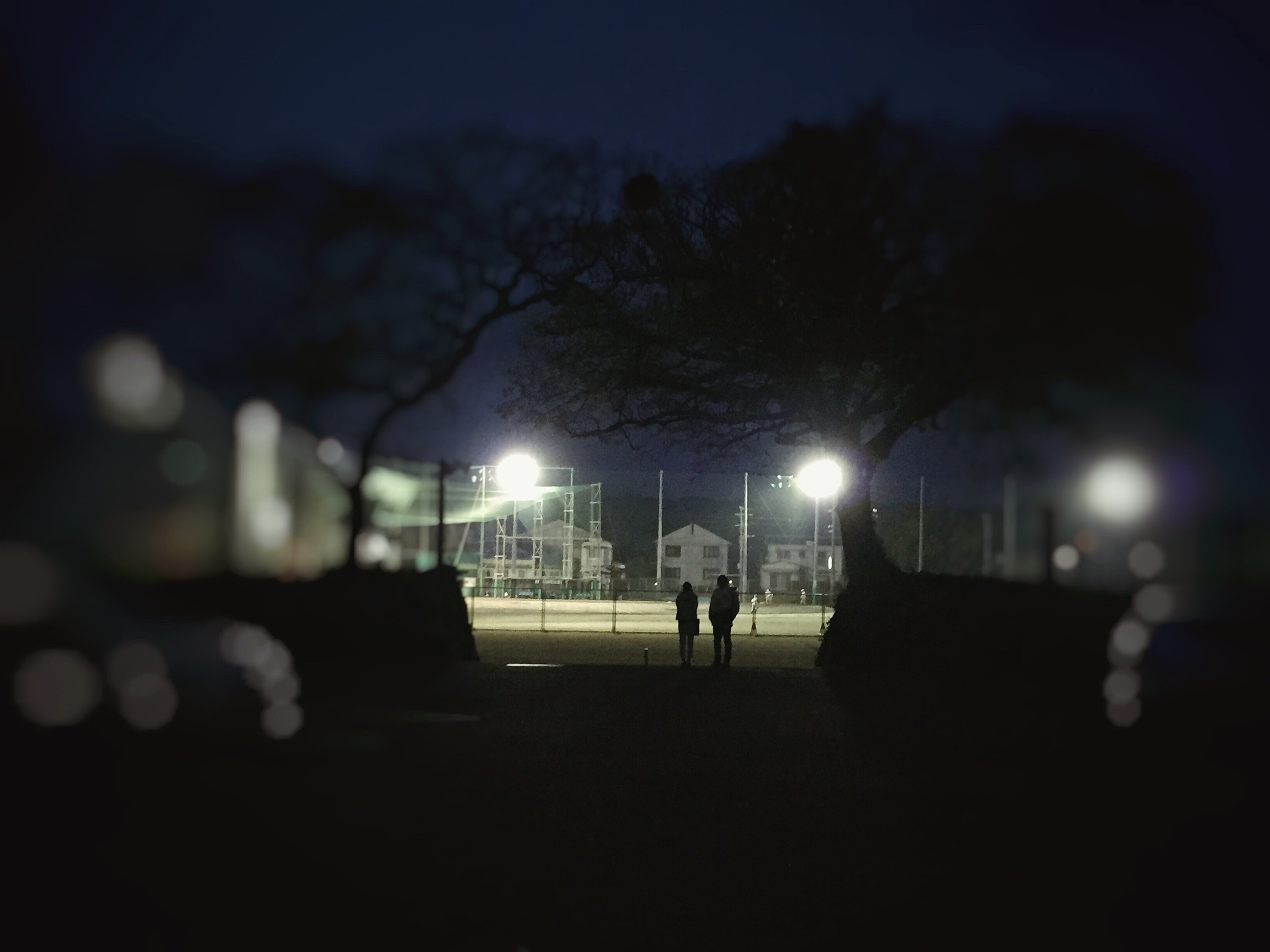 people standing on street at night