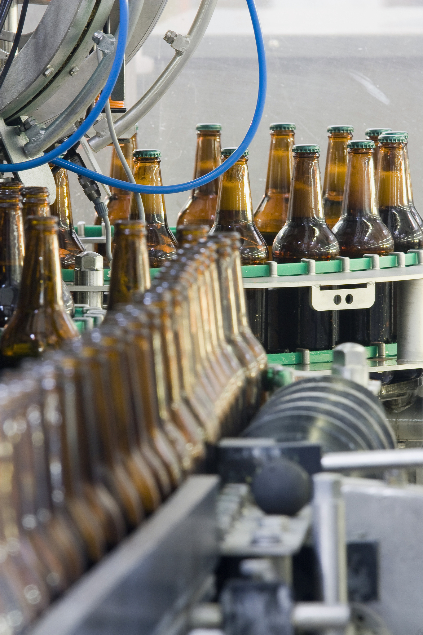 现代啤酒生产工艺全解：从原料到包装的完整流程