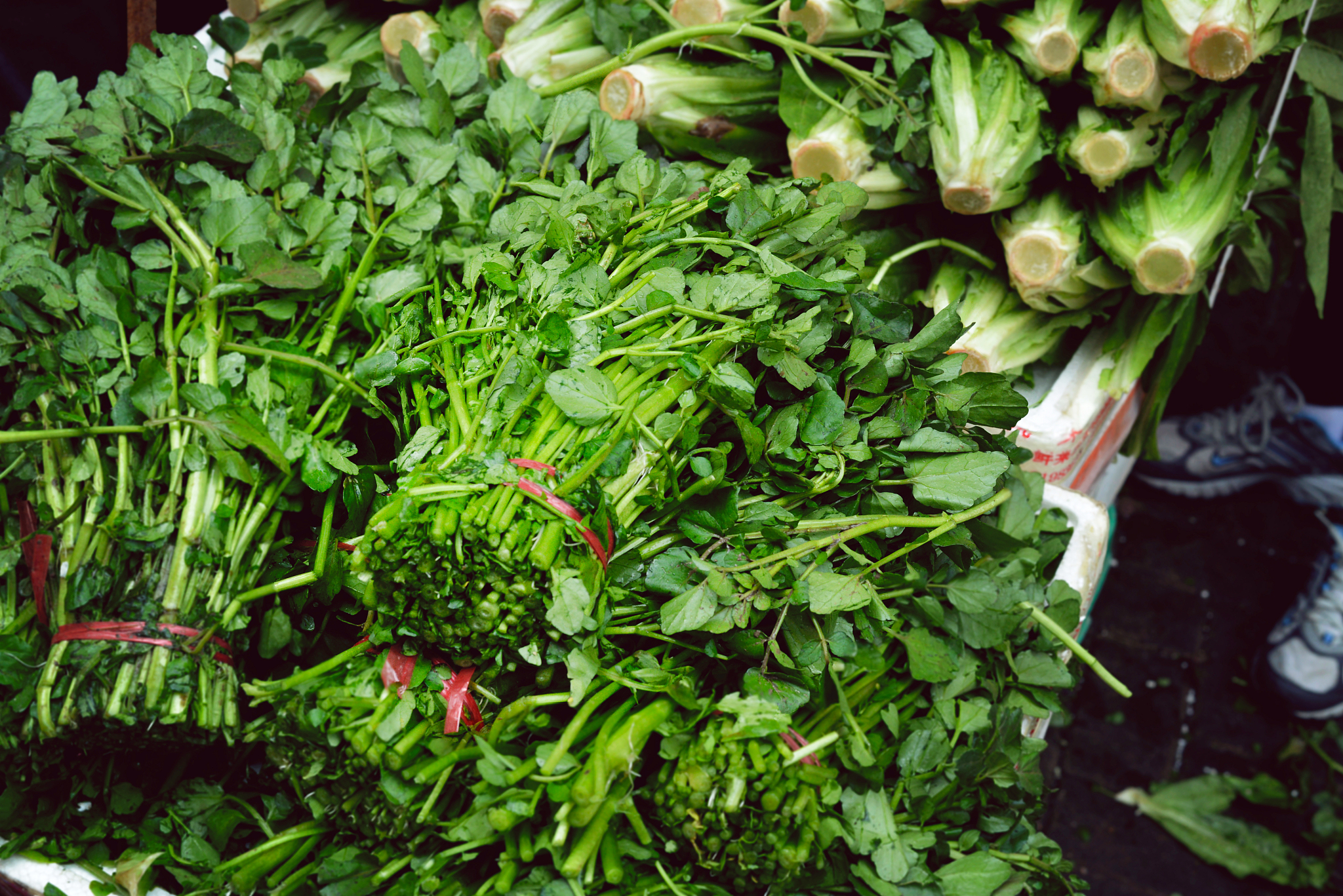 野菜广东菜致癌吗?，