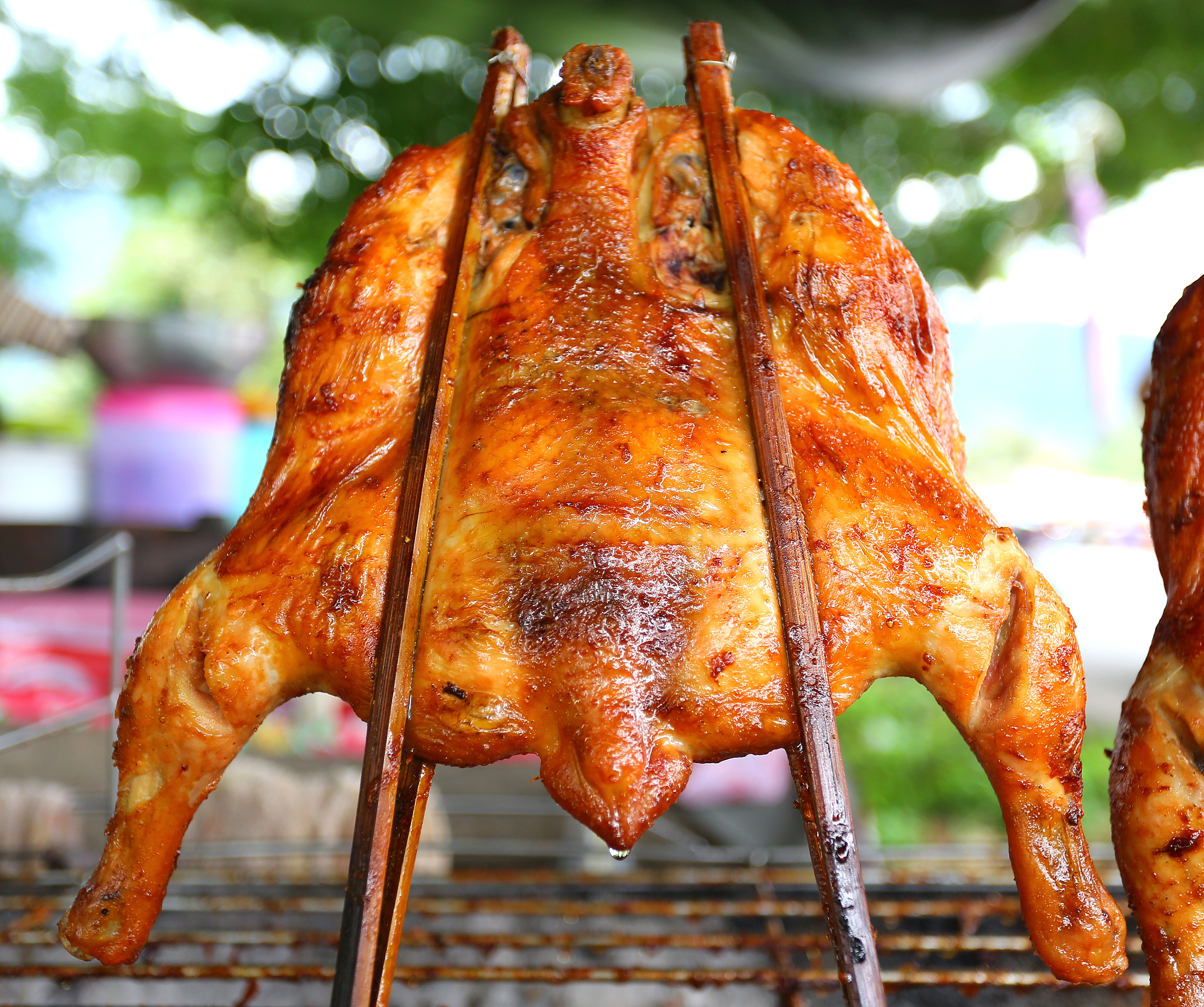 欧宁蒸烤箱聚会美食：烤鸡翅、烤鱿鱼须、烤鸡块