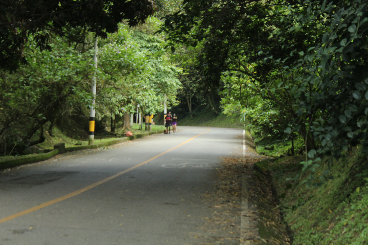 都江堰景区早上还能晨跑吗帮我用200字详细描述