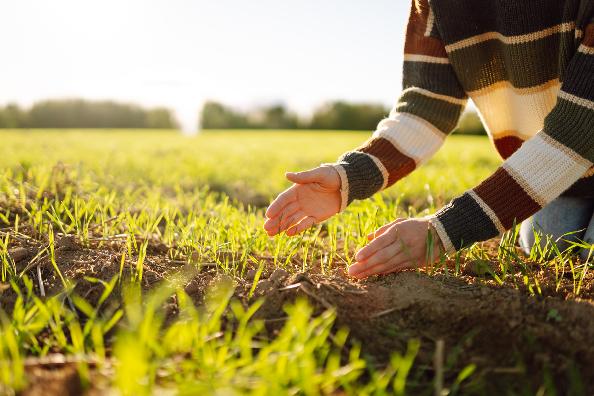 辛苦劳动后的感悟：充实、成长与快乐