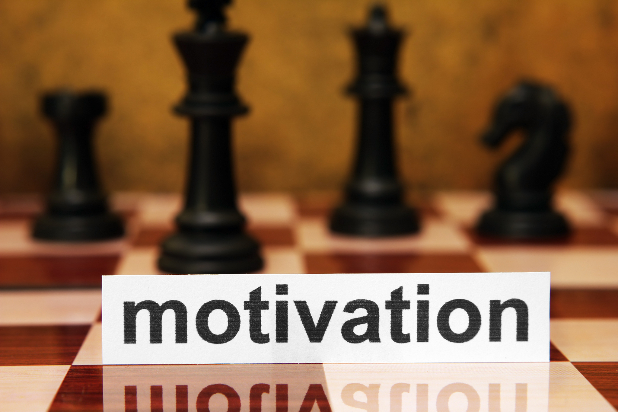 课上做了一个小游戏——耶鲁大学博弈论的随堂测试教授手里有5美元让学生从1到100选一个数最后看谁选的数最接近所有数据平均数的三个之二就可以获得这5美元如果所有人足够理智足够聪明那么推理一下最终会出现什么样的数据结果？	对于证券投资我们可以从这个小游戏得到什么样的启发。