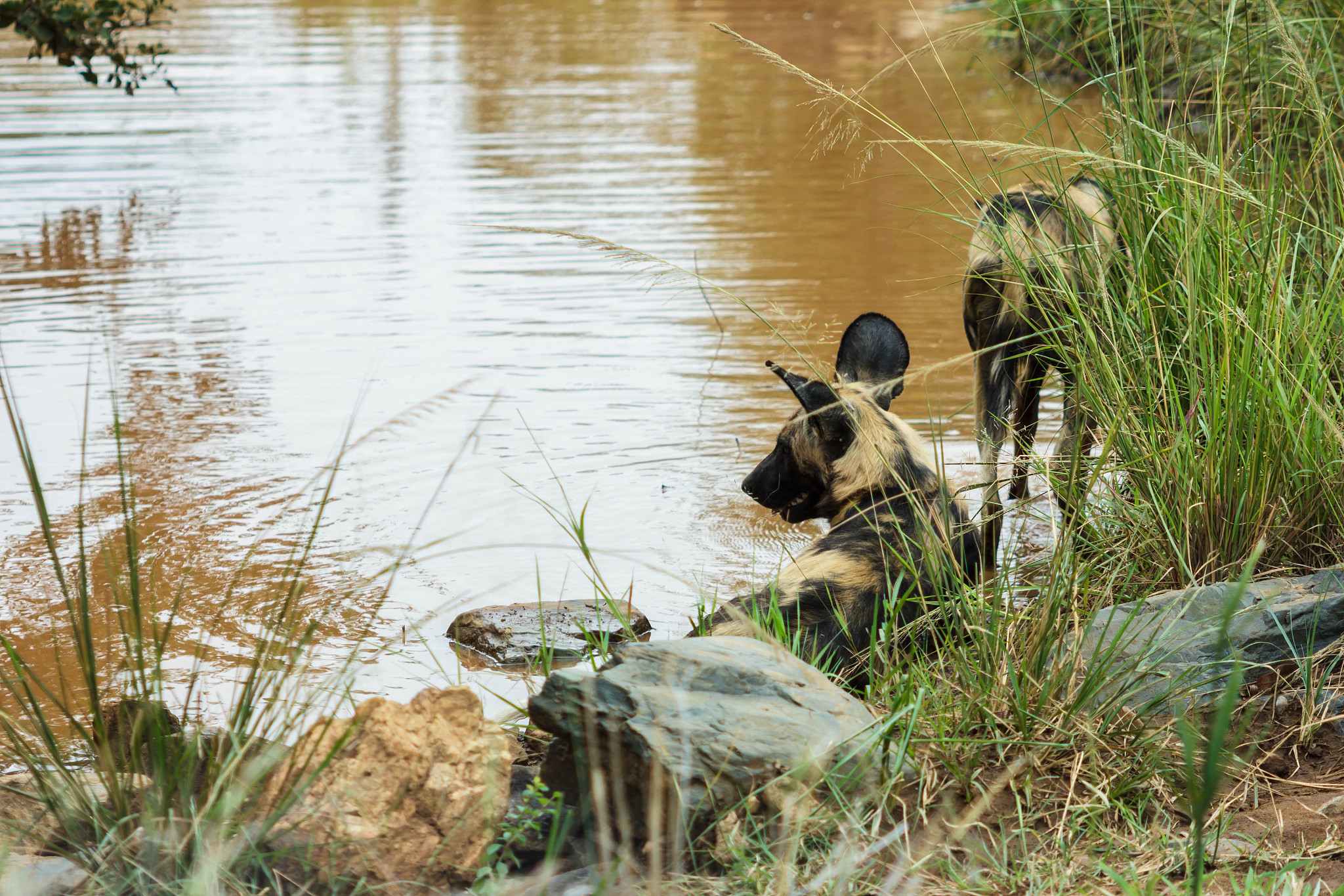 扮演一名文化领域博主写篇1000字农村俗语钓鱼穷三年玩鸟毁一生老祖宗的经验到今天还有用吗？的文章