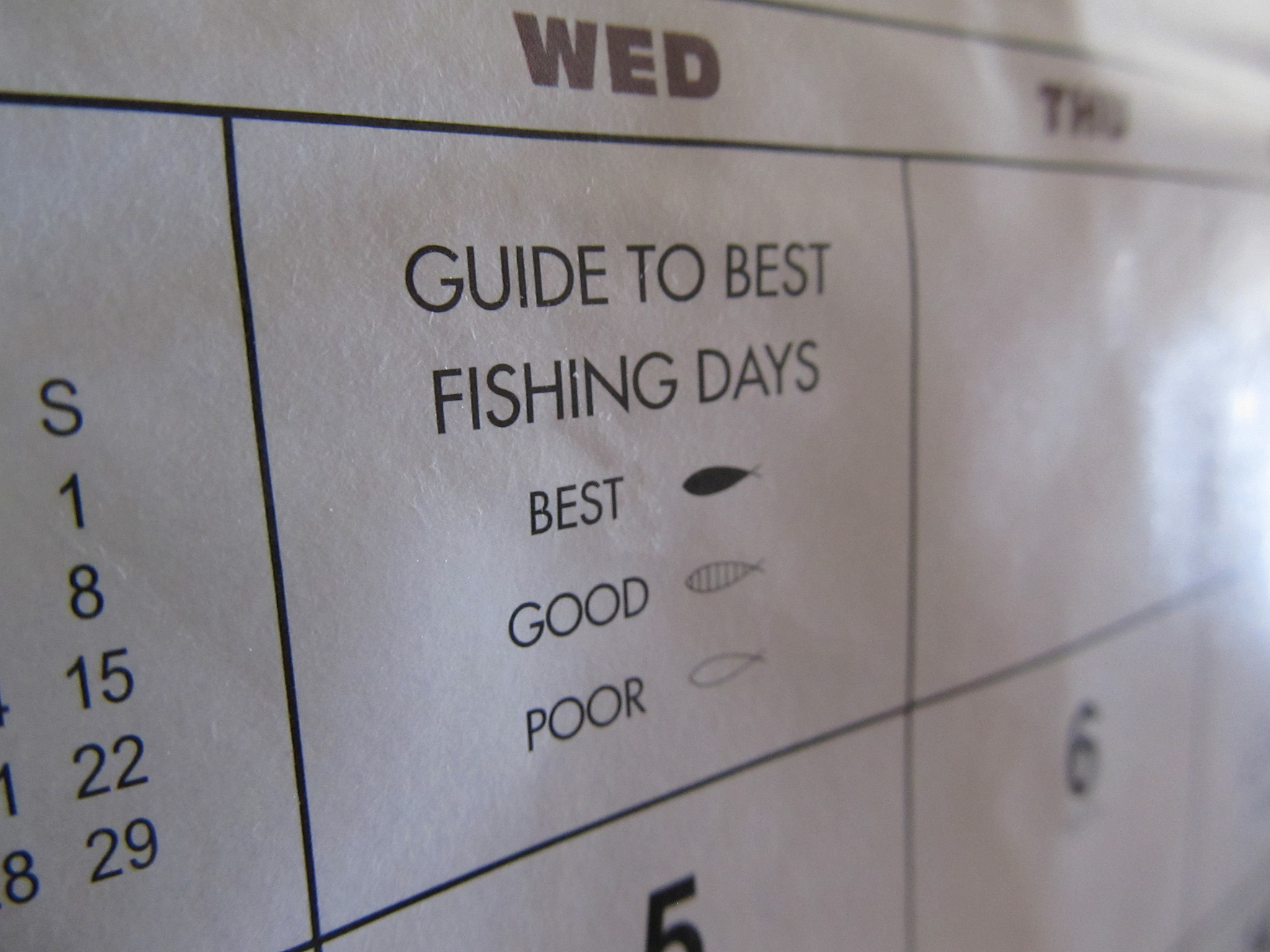 RX1 相关信息 - 了解 RX1 的一切