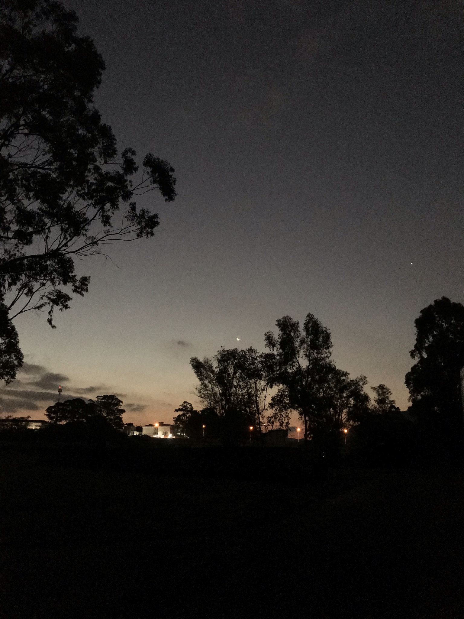 night
