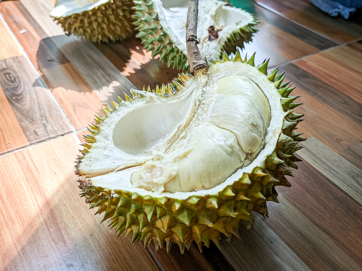 请帮我写1篇不少于800汉字的博客文章语言要幽默接地气。主题是：9种常见的榴莲品种介绍