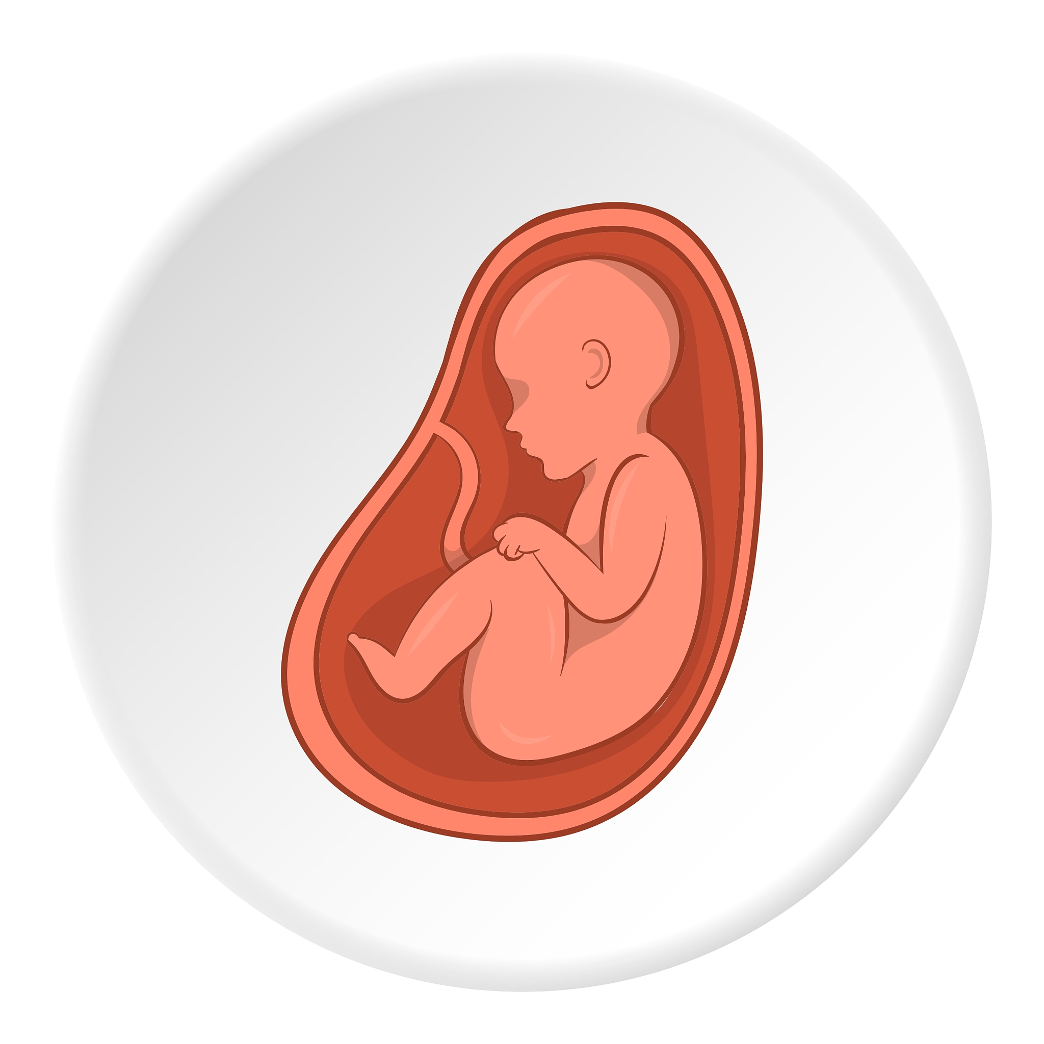 embryo in stomach icon cartoon style