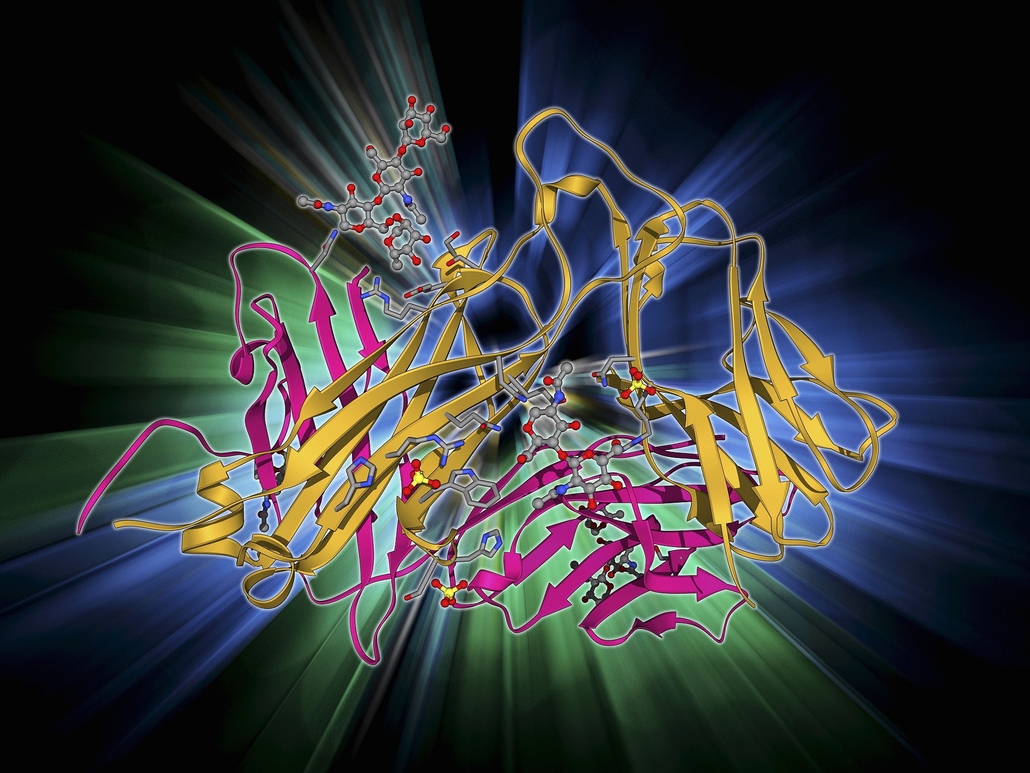 Molecular Microbiology 期刊：微生物学研究的权威期刊