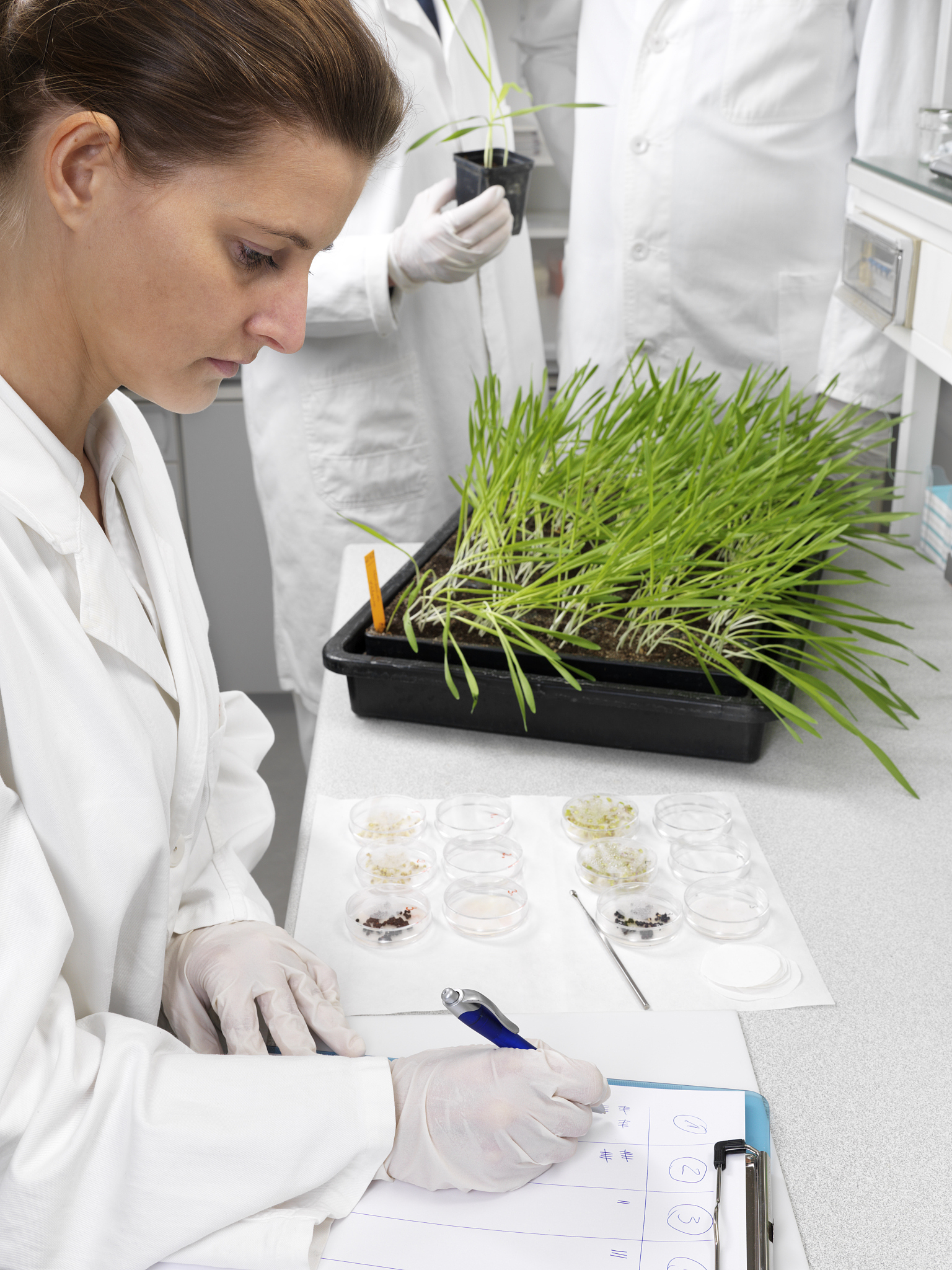 山西师范大学化学类专业怎么样