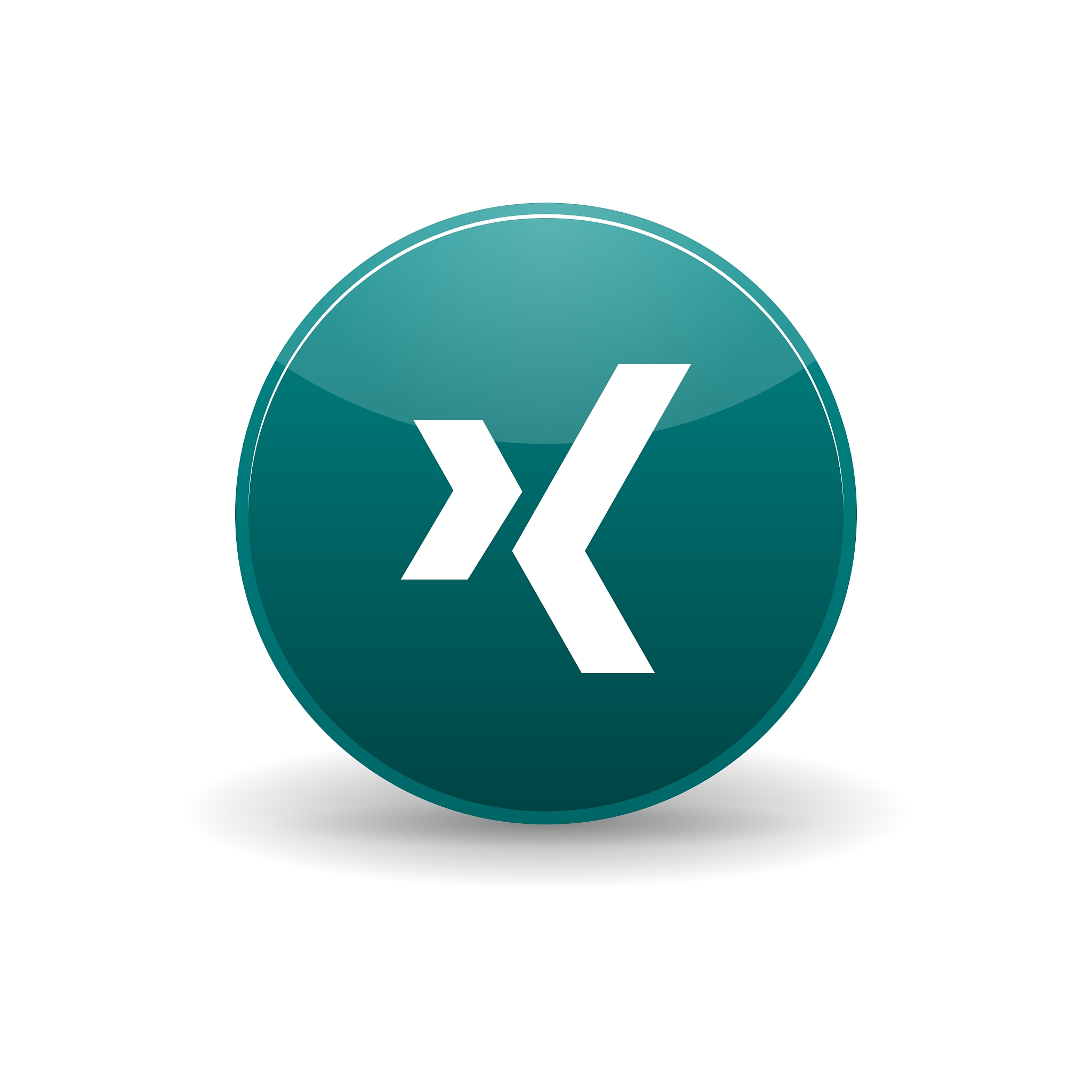 xing icon simple style